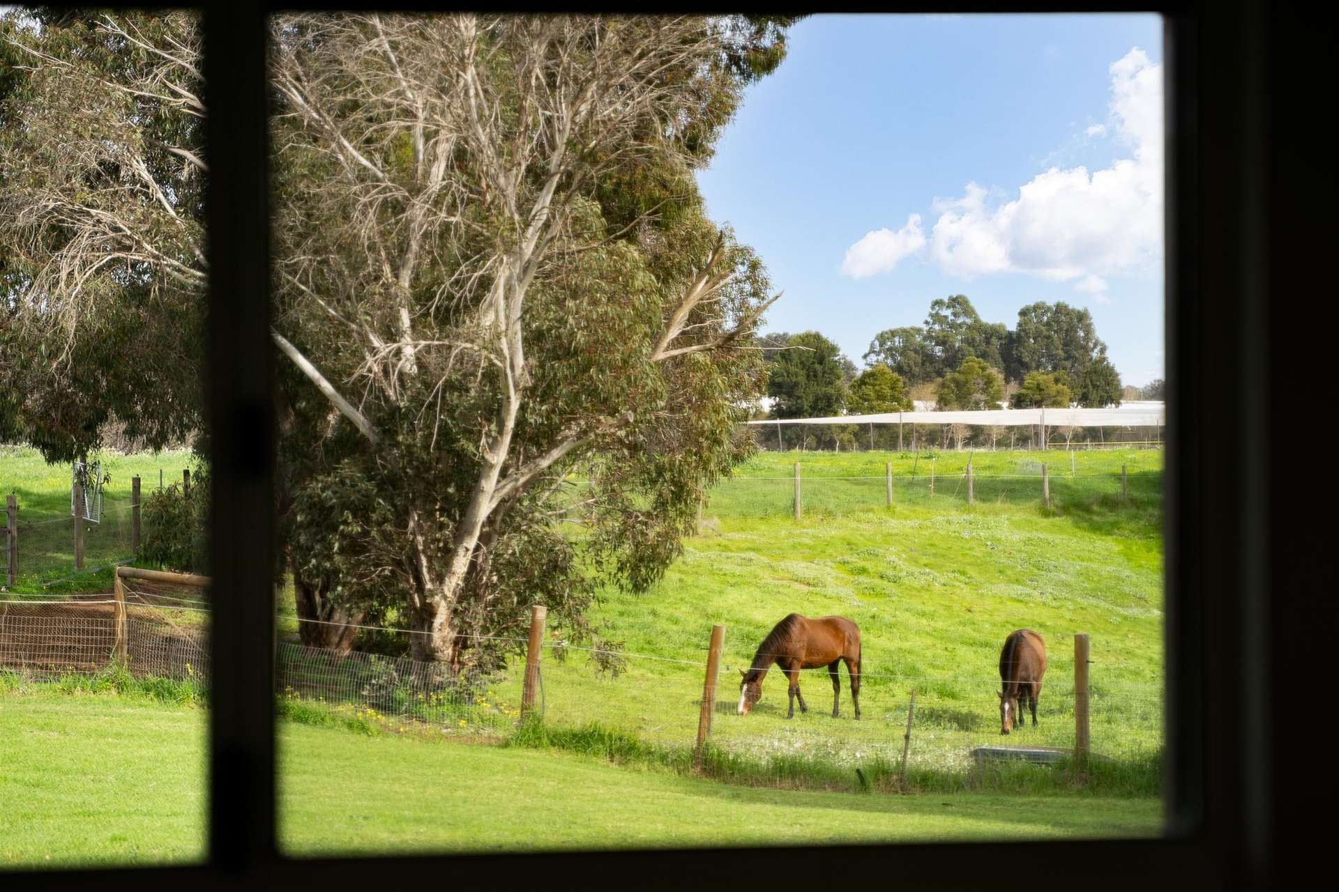 1287 Goodwood Road, Capel River Sold by Farmbuy.com - image 28