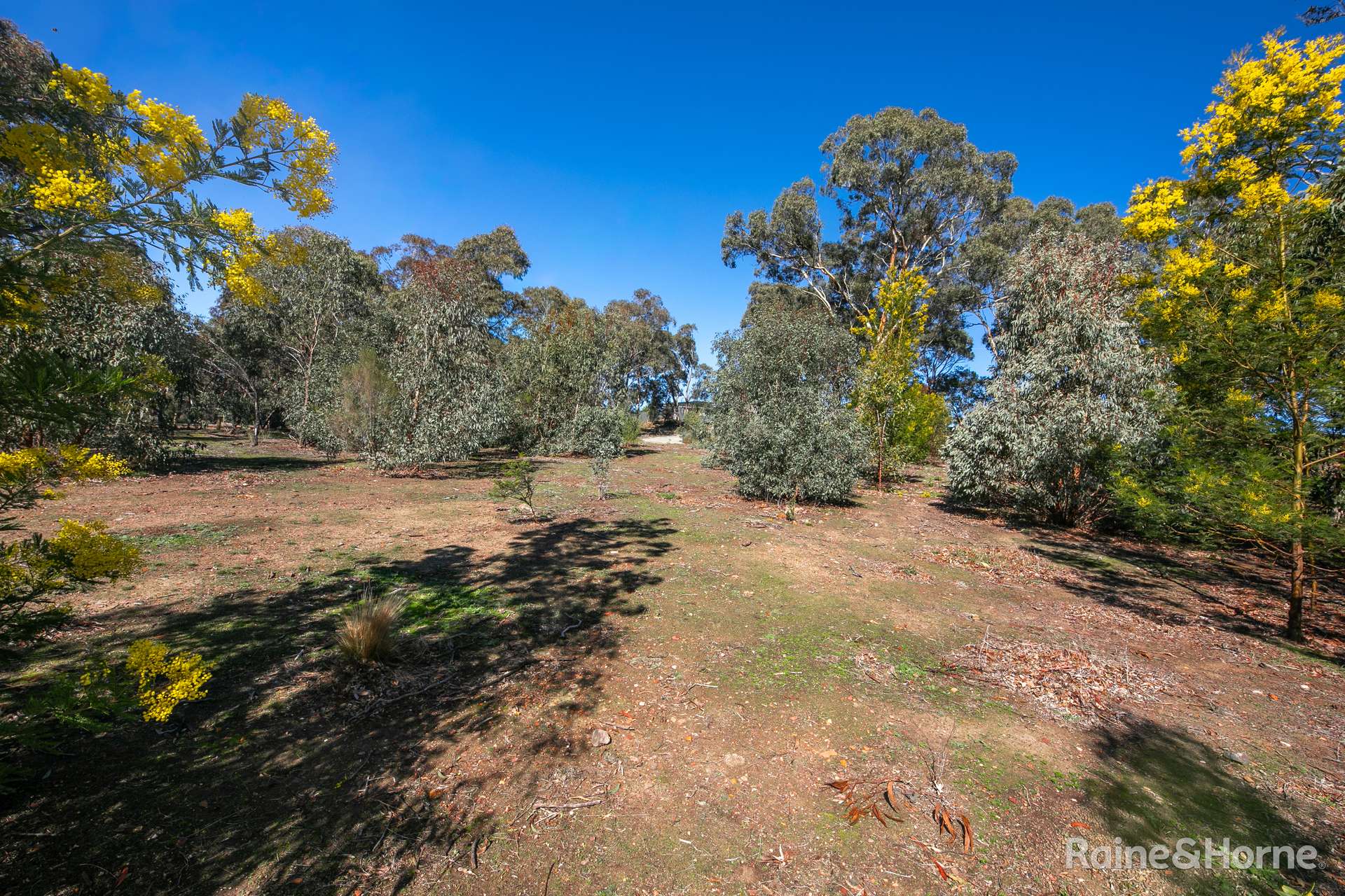 24 Emu Road, Sunbury For Sale by Farmbuy.com - image 3