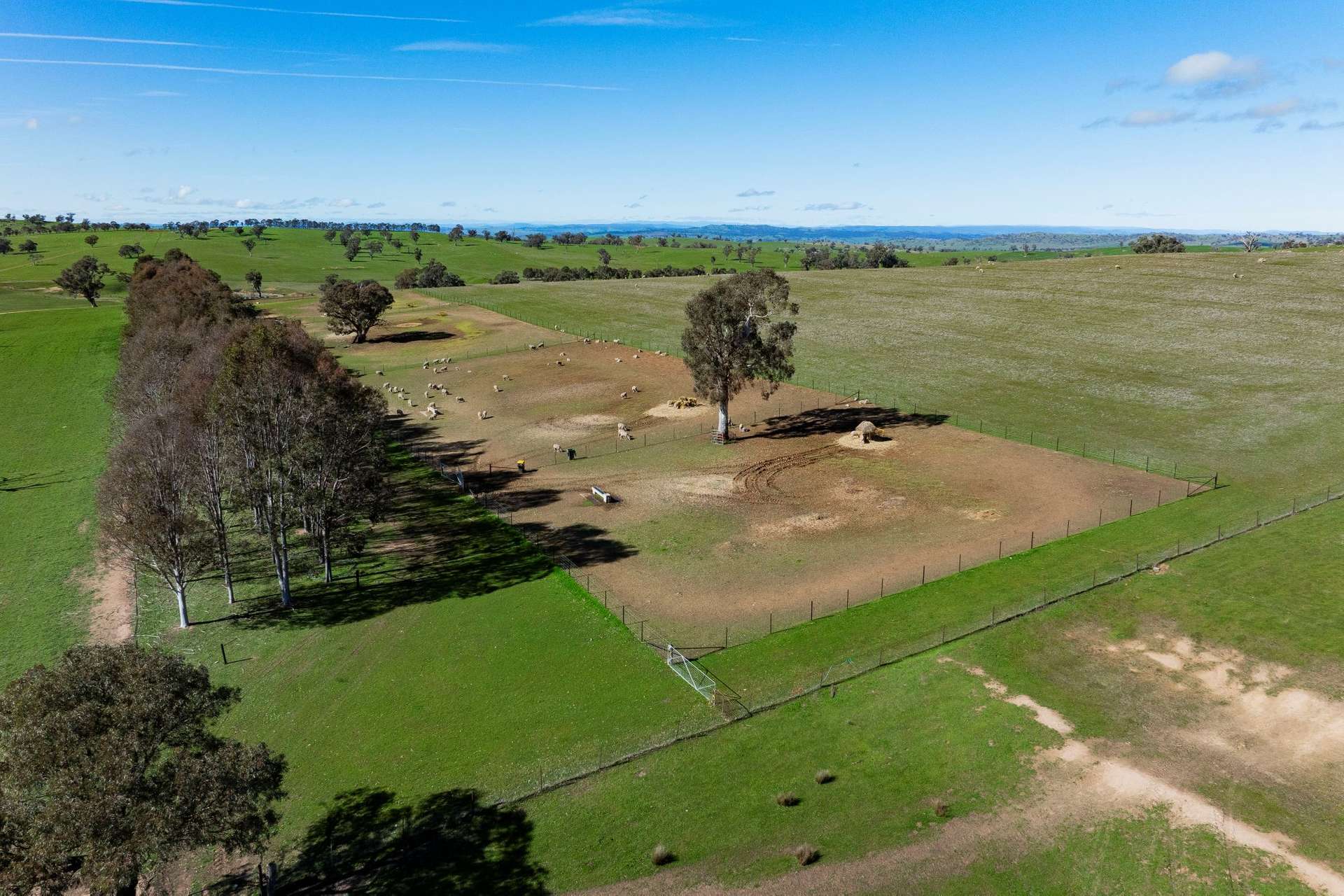 670 Leahy Road, Wagga Wagga For Sale by Farmbuy.com - image 32