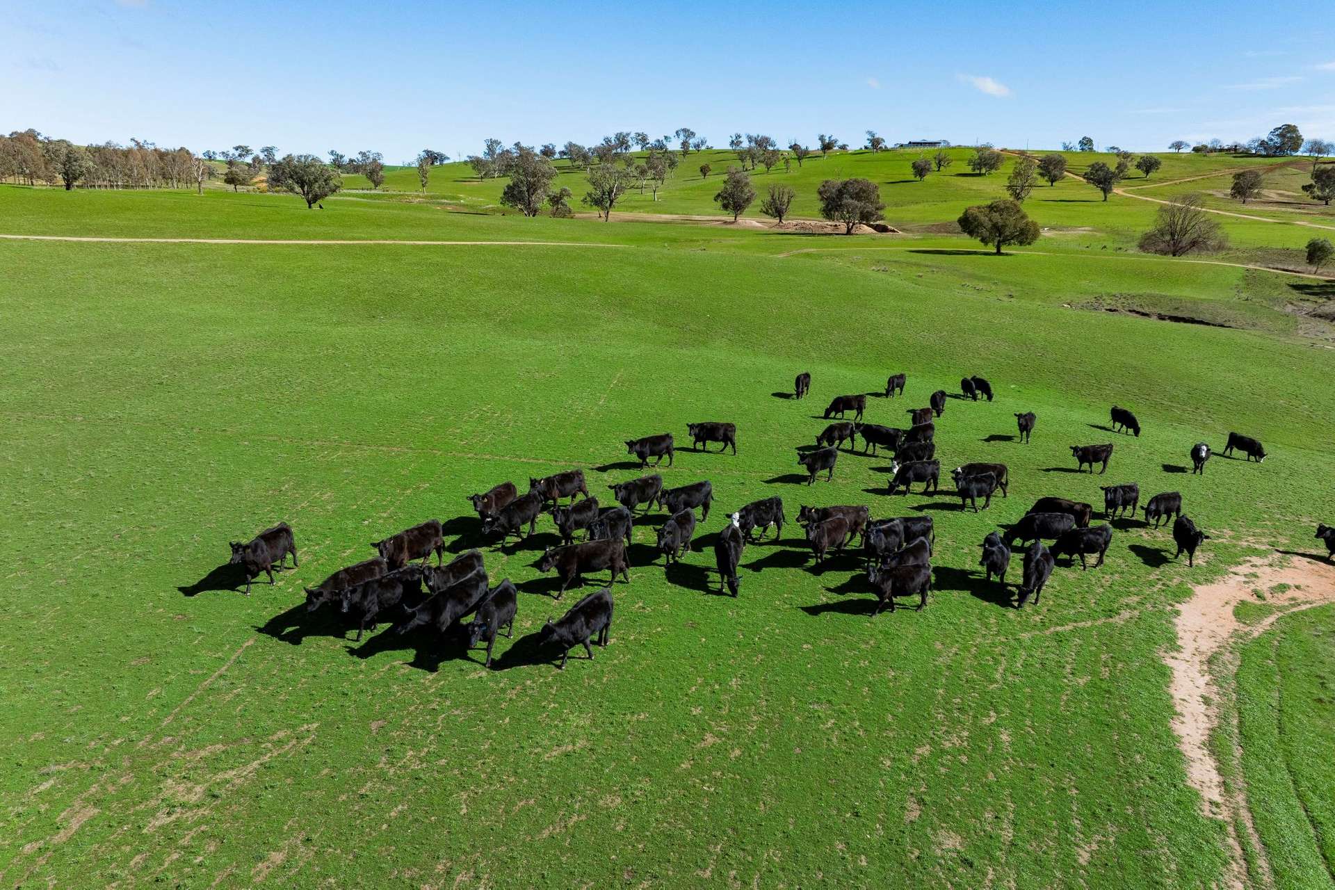 670 Leahy Road, Wagga Wagga For Sale by Farmbuy.com - image 35