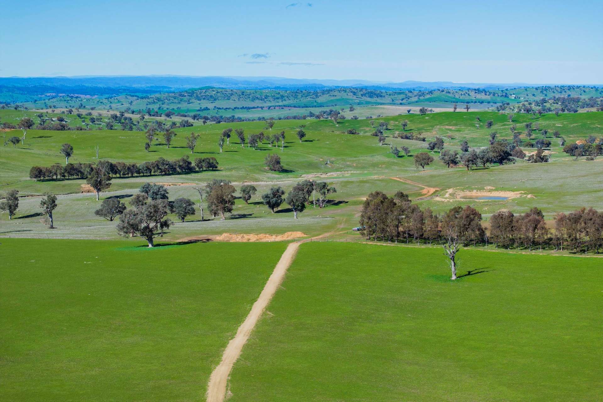 670 Leahy Road, Wagga Wagga For Sale by Farmbuy.com - image 31