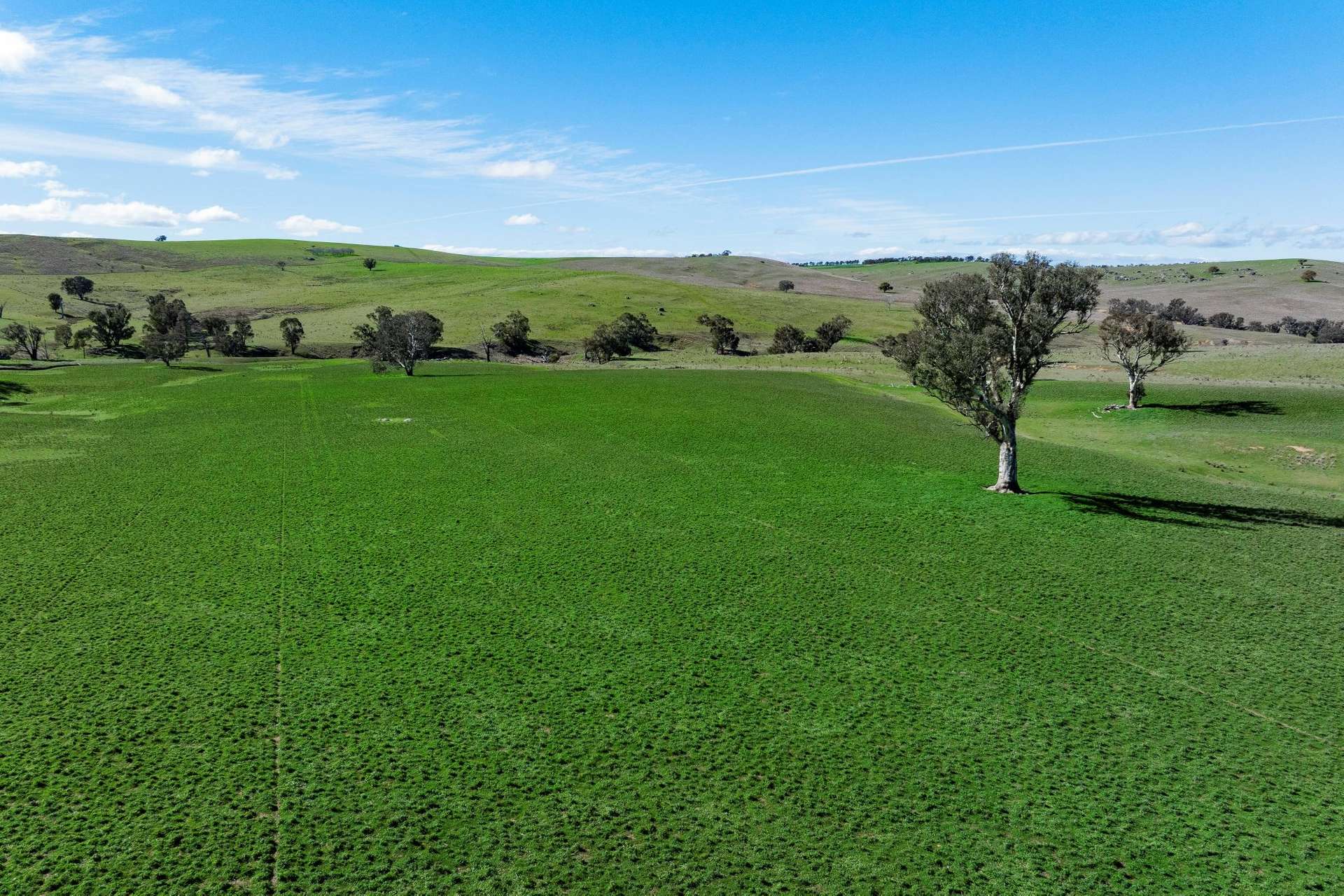 670 Leahy Road, Wagga Wagga For Sale by Farmbuy.com - image 15