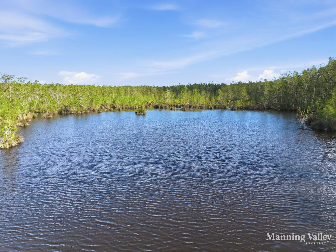 Lot 262 DP45883 Brimbin Road, Cundletown For Sale by Farmbuy.com - image 1