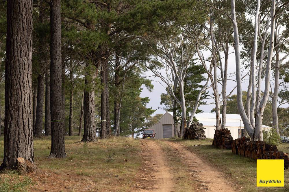 270 Pine Bank Drive, Lower Boro NSW 2580