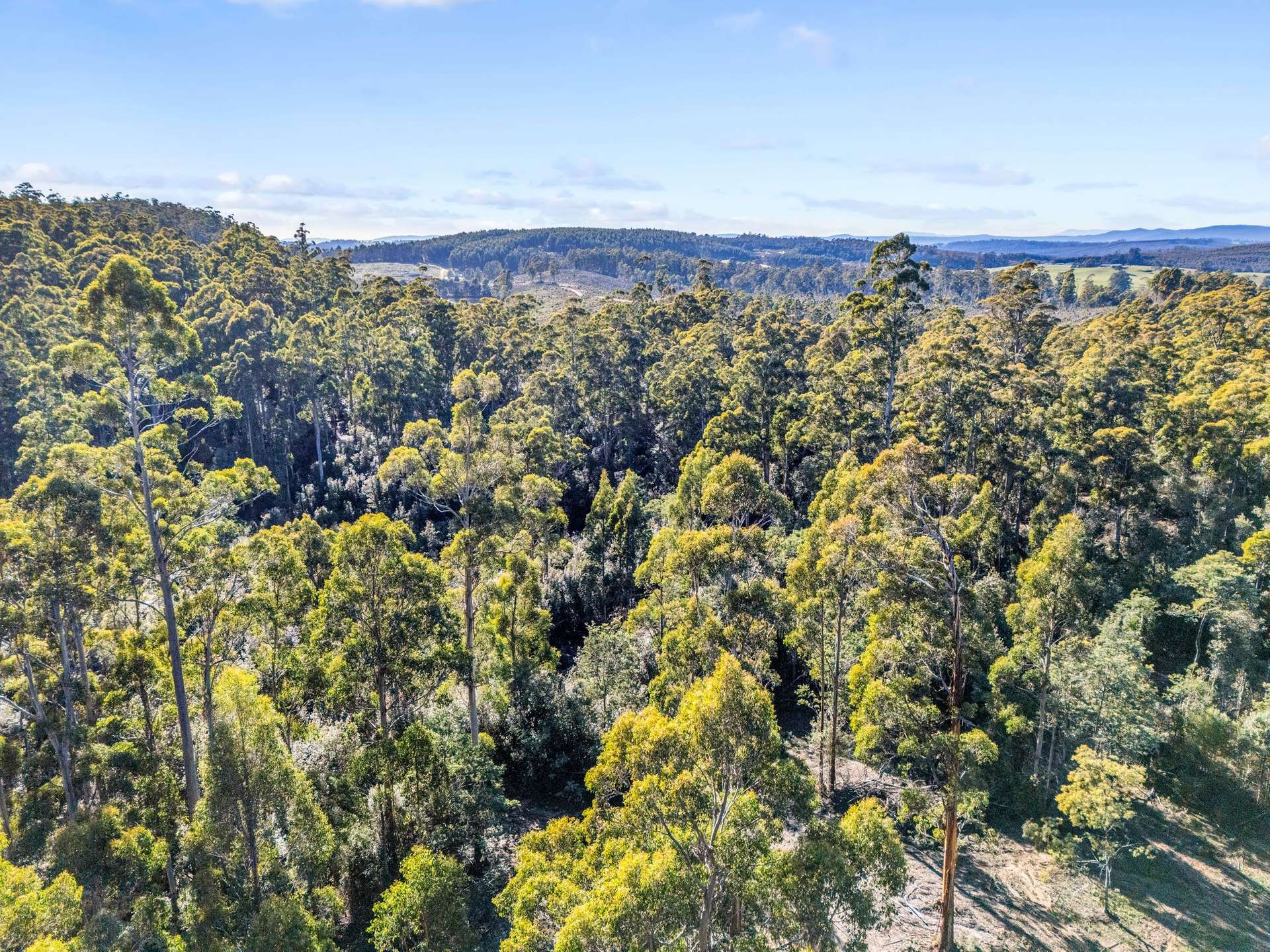 Lot 2 Harland Rise Road, Paradise For Sale by Farmbuy.com - image 10