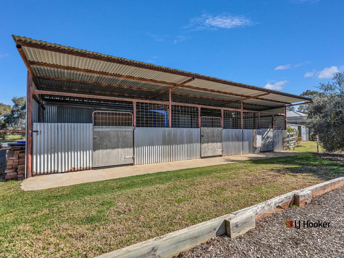 380 Mitchell Road, Echuca Sold by Farmbuy.com - image 25