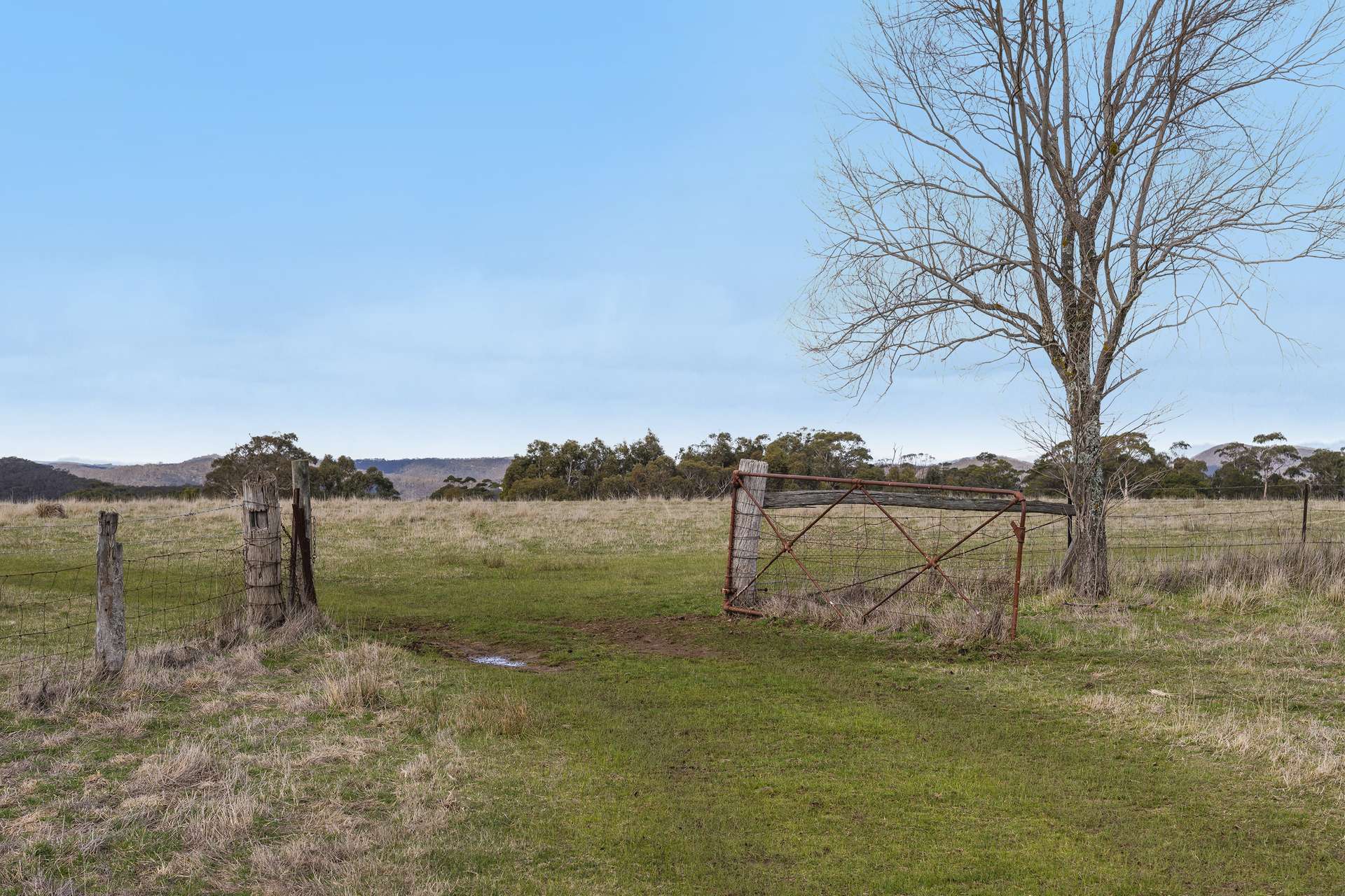 1285 Bacchus Marsh Road, Bullengarook For Sale by Farmbuy.com - image 30