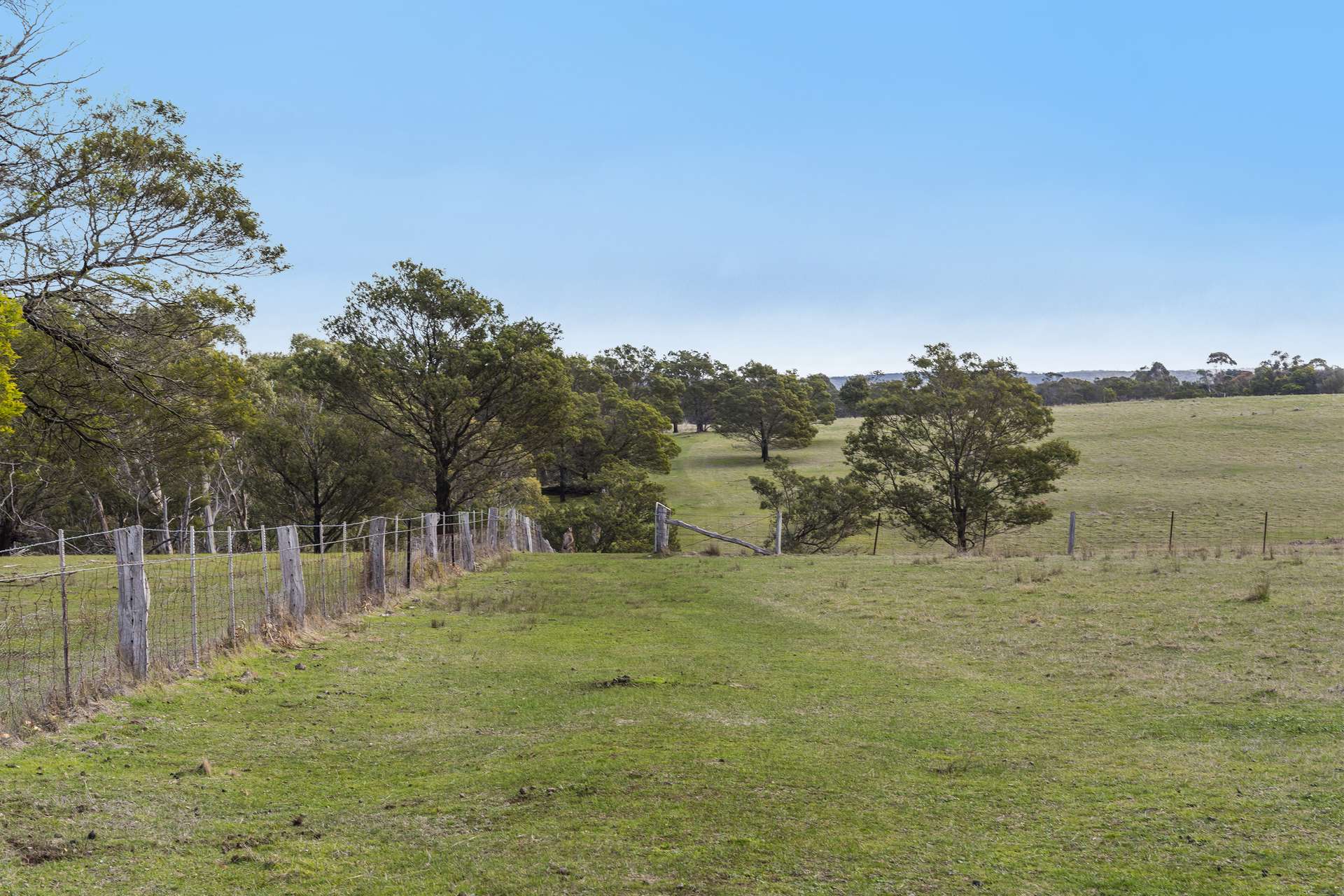 1285 Bacchus Marsh Road, Bullengarook For Sale by Farmbuy.com - image 31