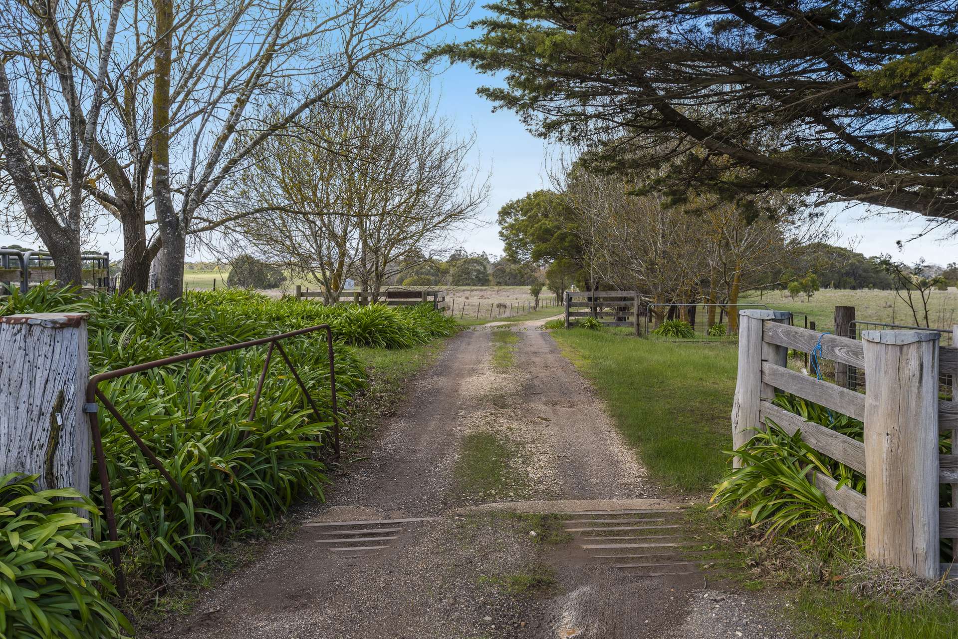 1285 Bacchus Marsh Road, Bullengarook For Sale by Farmbuy.com - image 6