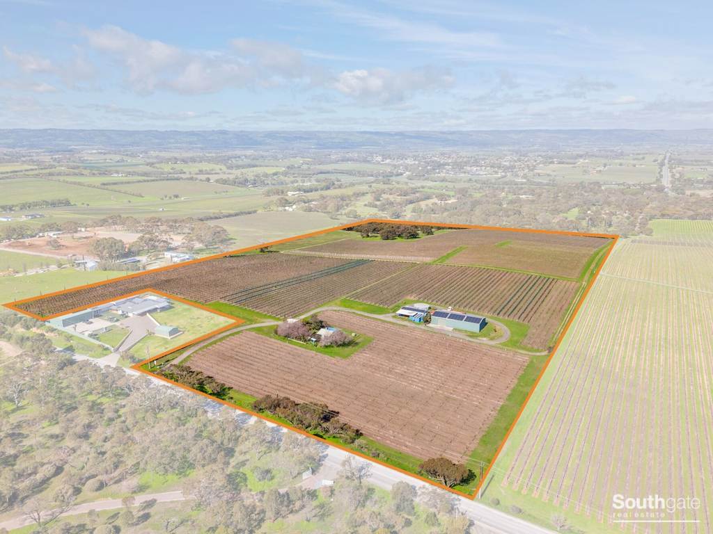 176 Seaview Road, McLaren Vale SA 5171