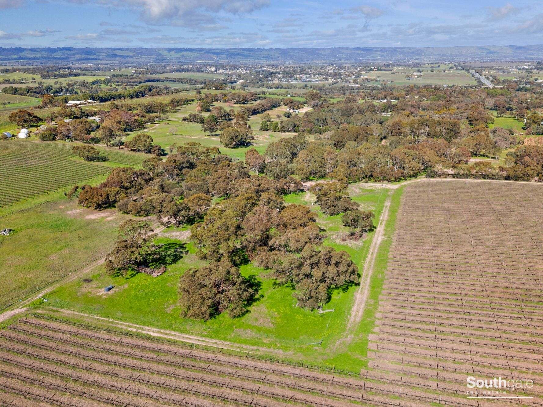 176 Seaview Road, McLaren Vale For Sale by Farmbuy.com - image 8