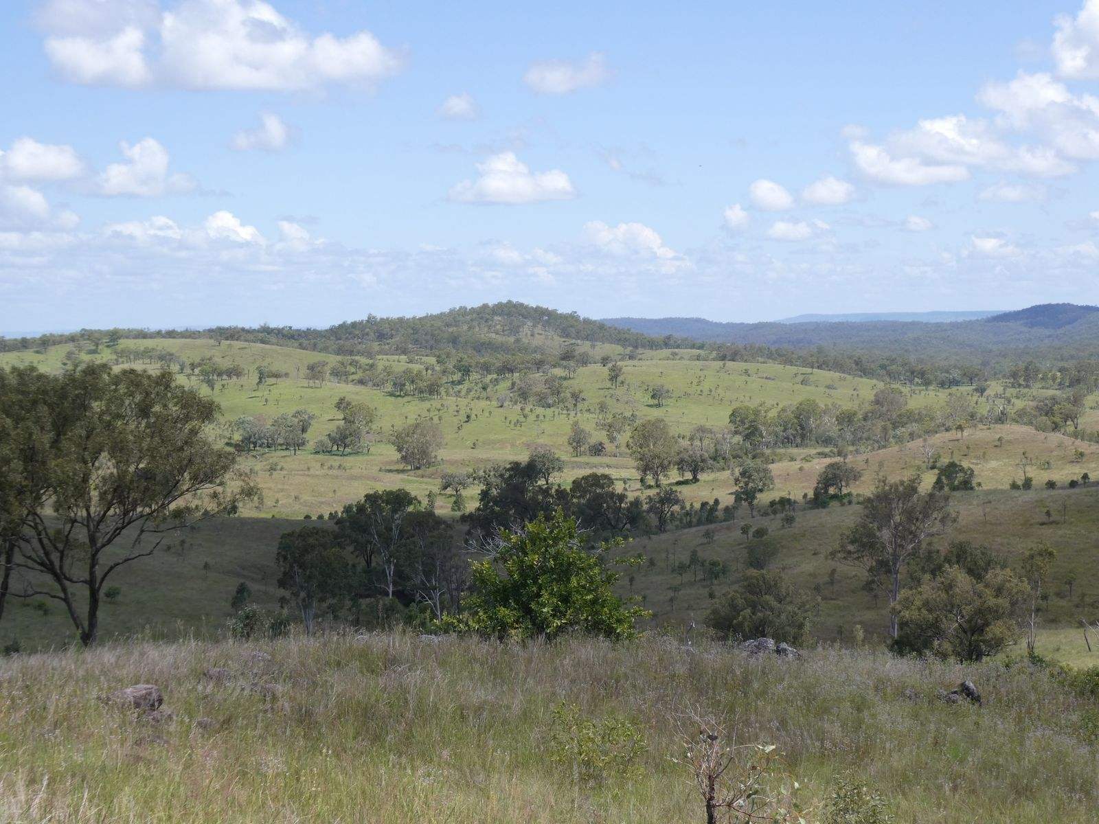 4 Lots Monto Mount Perry Road, Mungy For Sale by Farmbuy.com - image 17