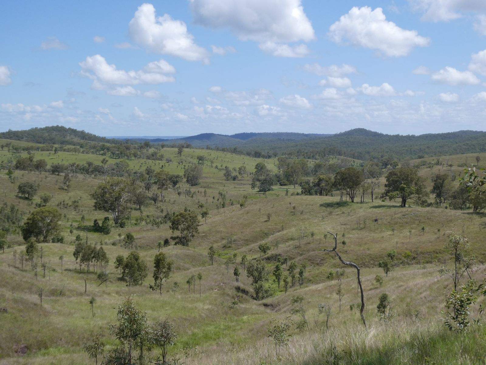 4 Lots Monto Mount Perry Road, Mungy For Sale by Farmbuy.com - image 16