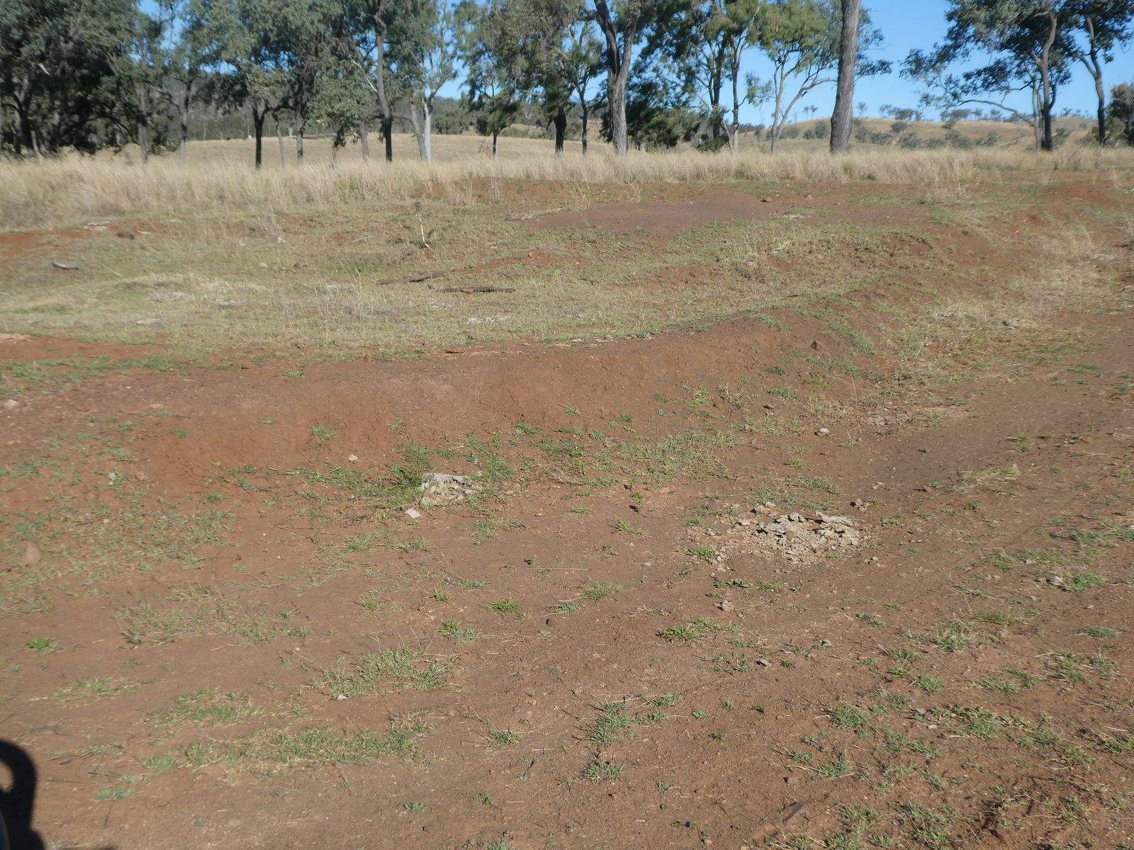 4 Lots Monto Mount Perry Road, Mungy For Sale by Farmbuy.com - image 20
