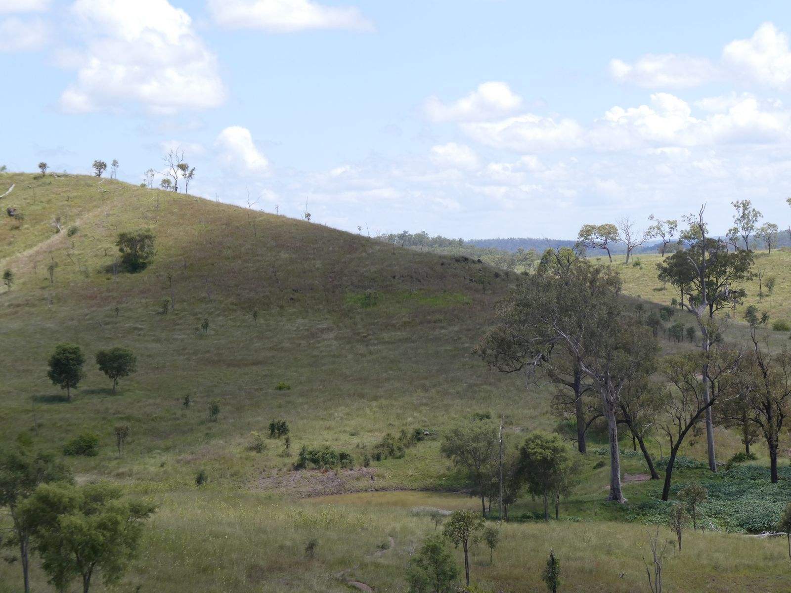 4 Lots Monto Mount Perry Road, Mungy For Sale by Farmbuy.com - image 9