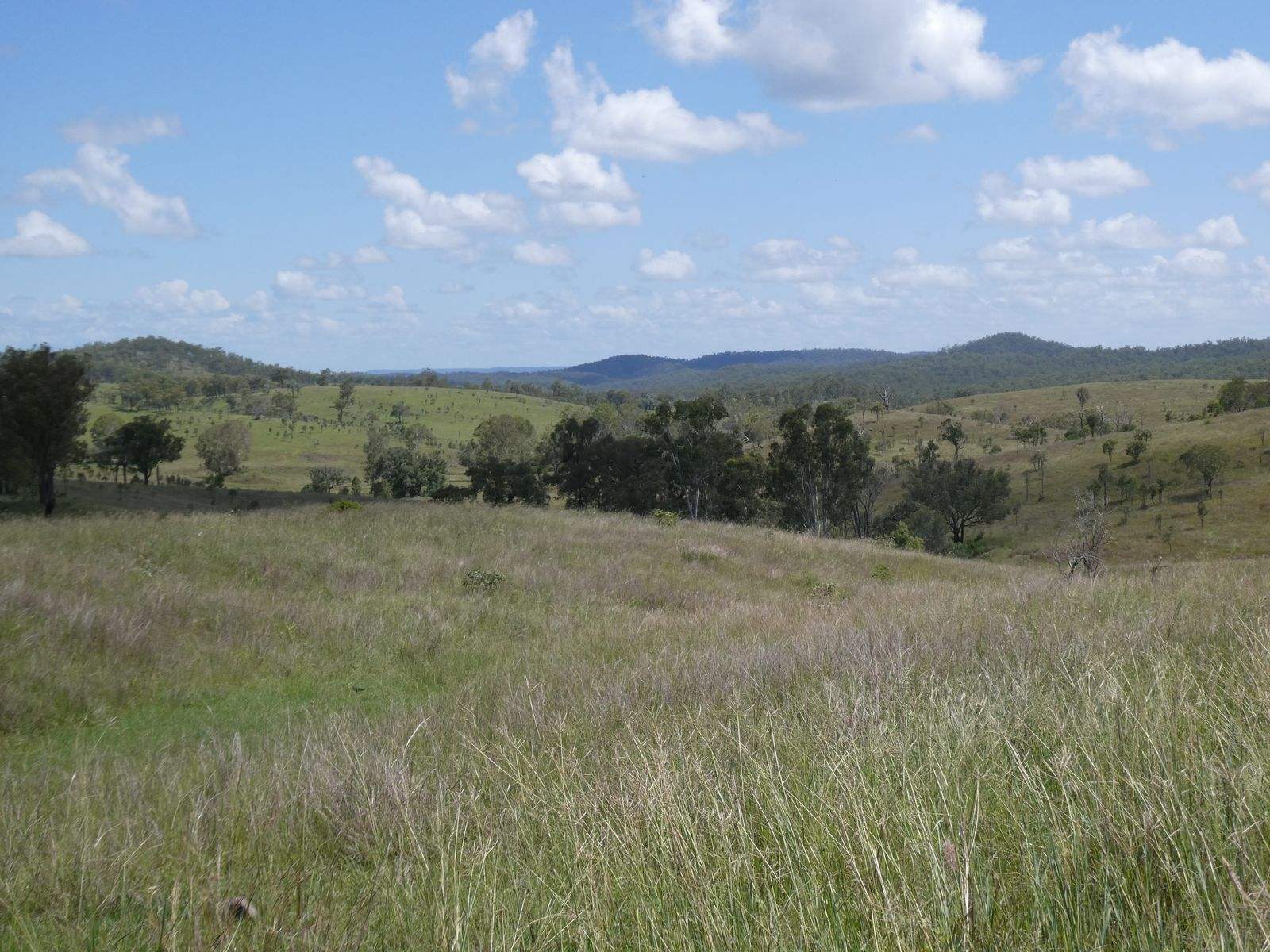 4 Lots Monto Mount Perry Road, Mungy For Sale by Farmbuy.com - image 1