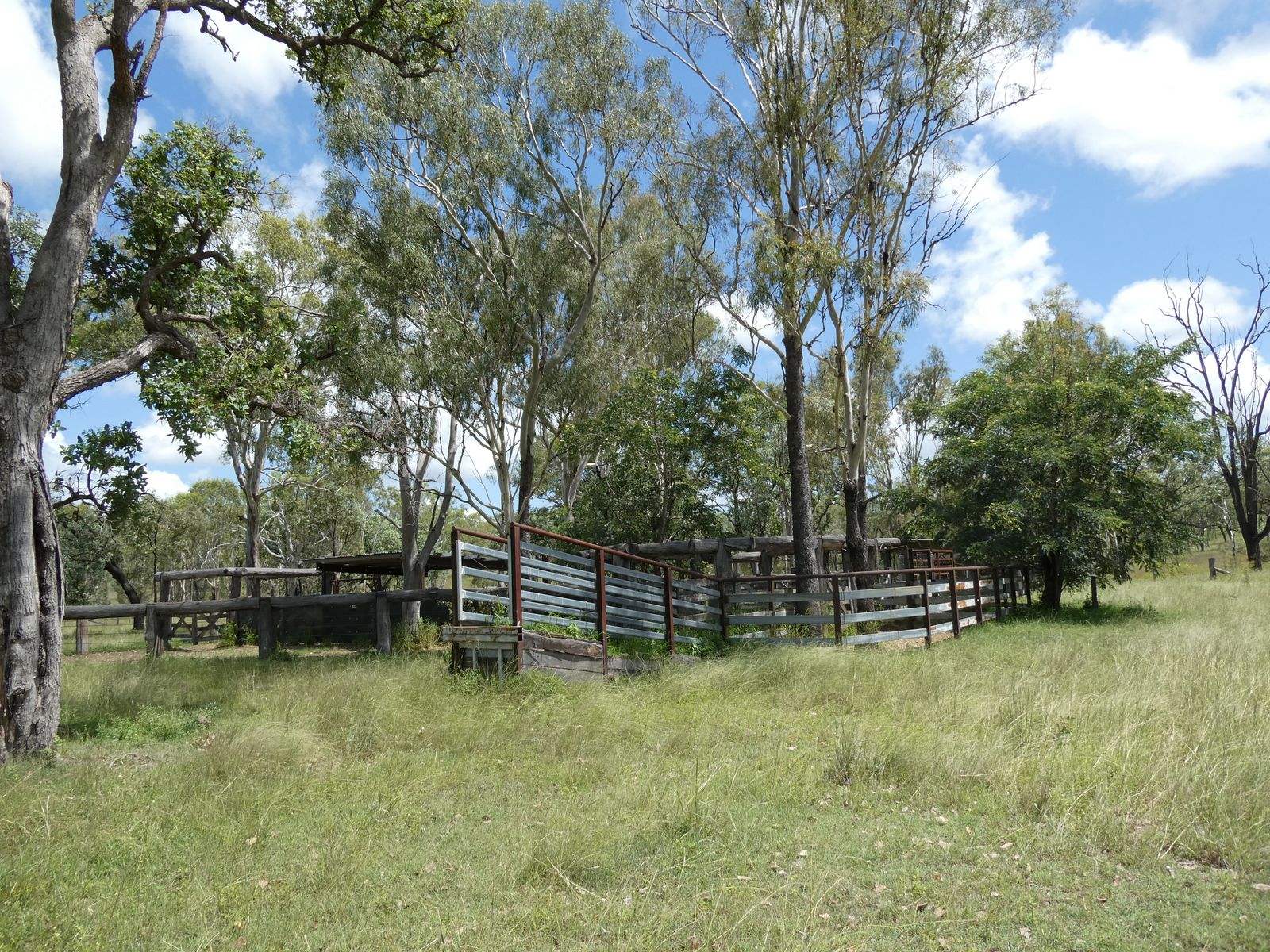 4 Lots Monto Mount Perry Road, Mungy For Sale by Farmbuy.com - image 30