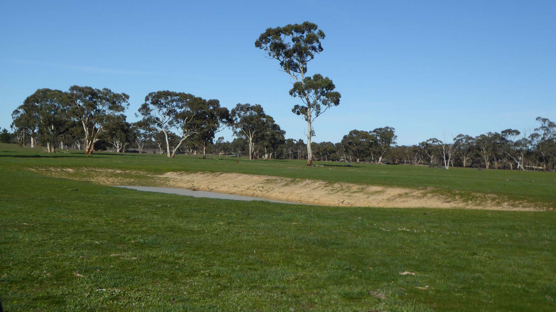 2147 Bangham Road, Frances For Sale by Farmbuy.com - image 4