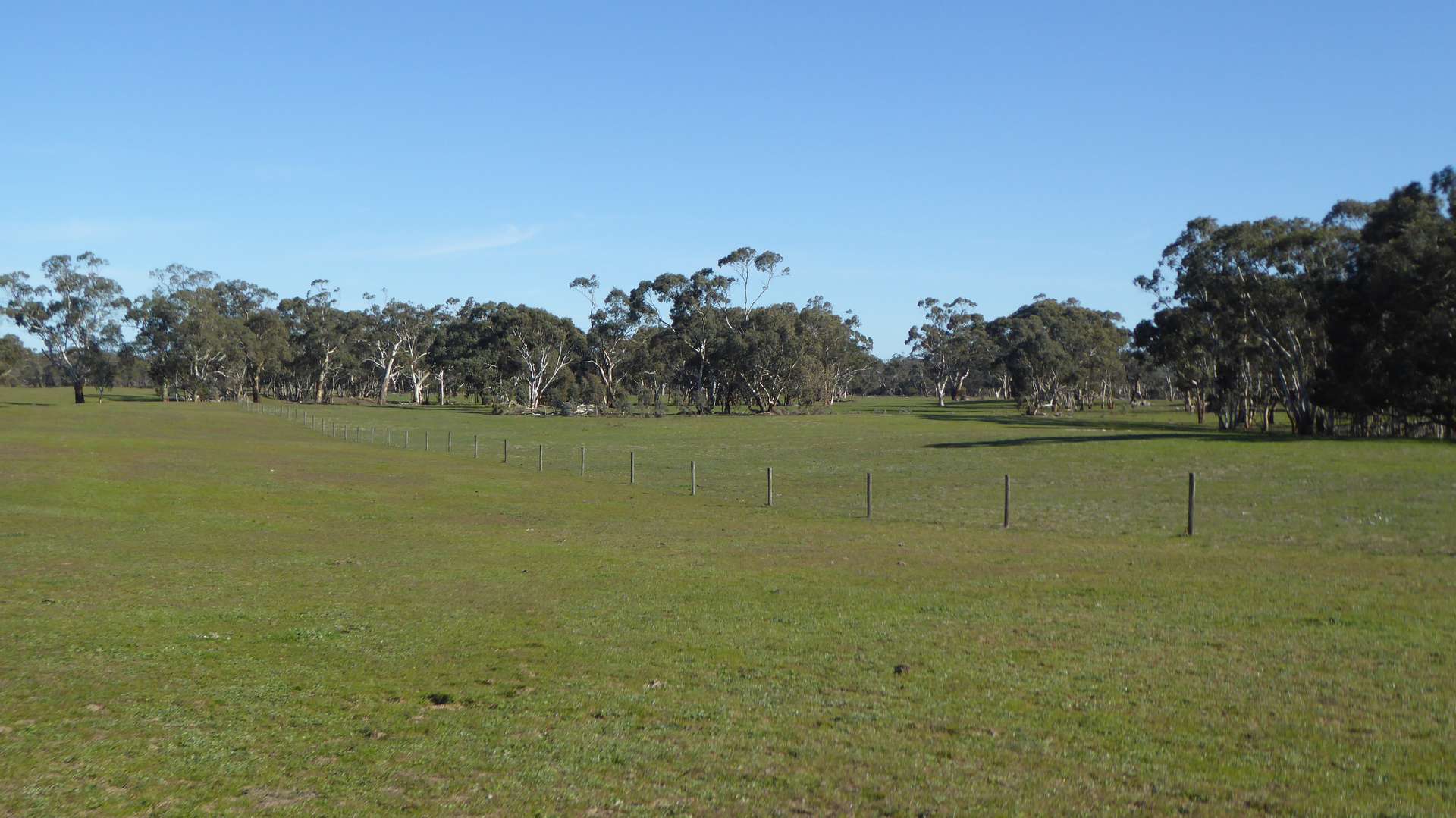 2147 Bangham Road, Frances For Sale by Farmbuy.com - image 24