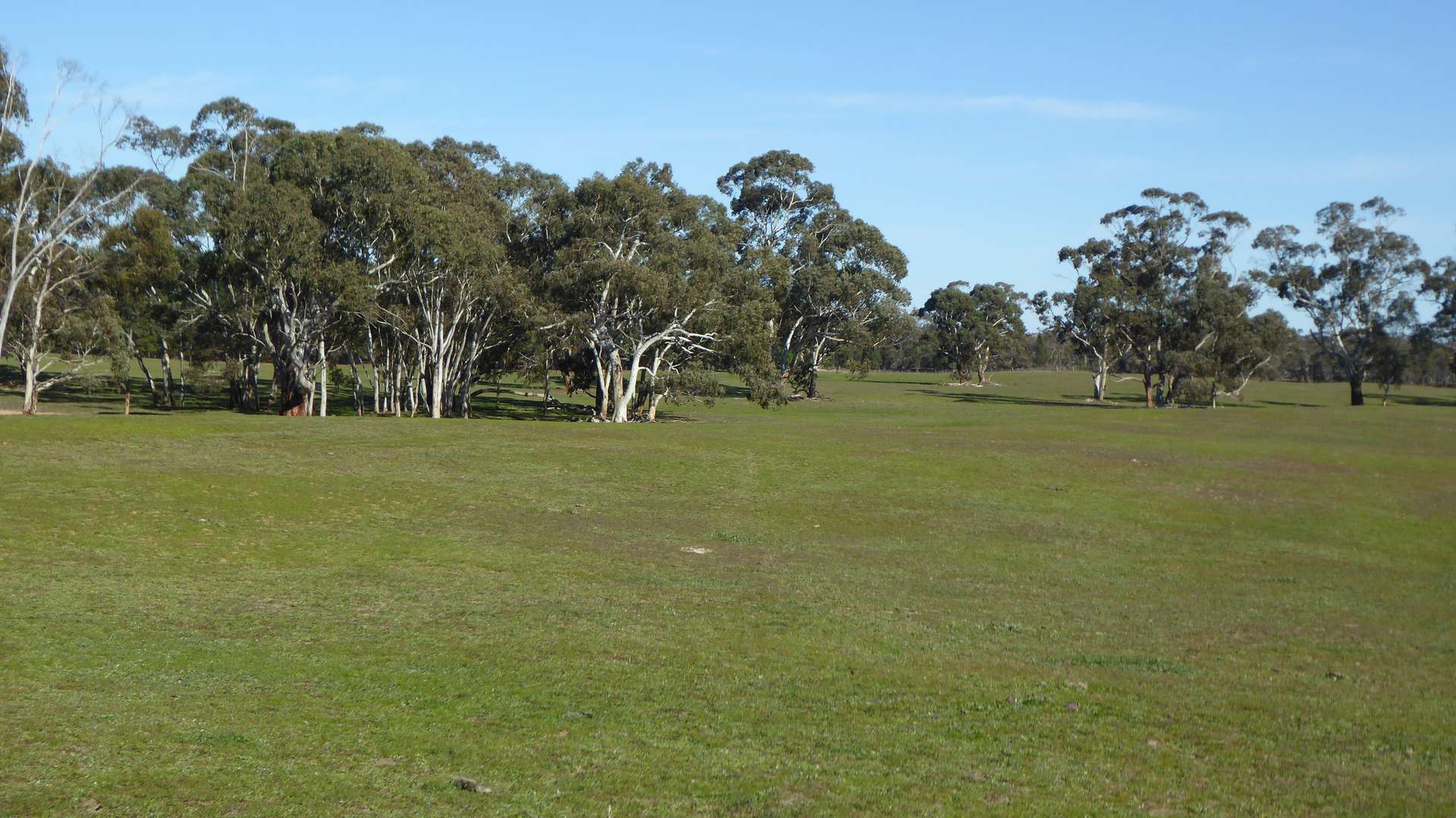 2147 Bangham Road, Frances For Sale by Farmbuy.com - image 26