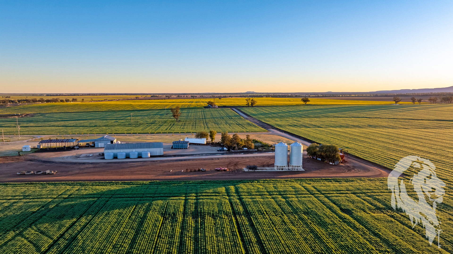 13012 Newell Highway, Narrabri For Sale by Farmbuy.com - image 19