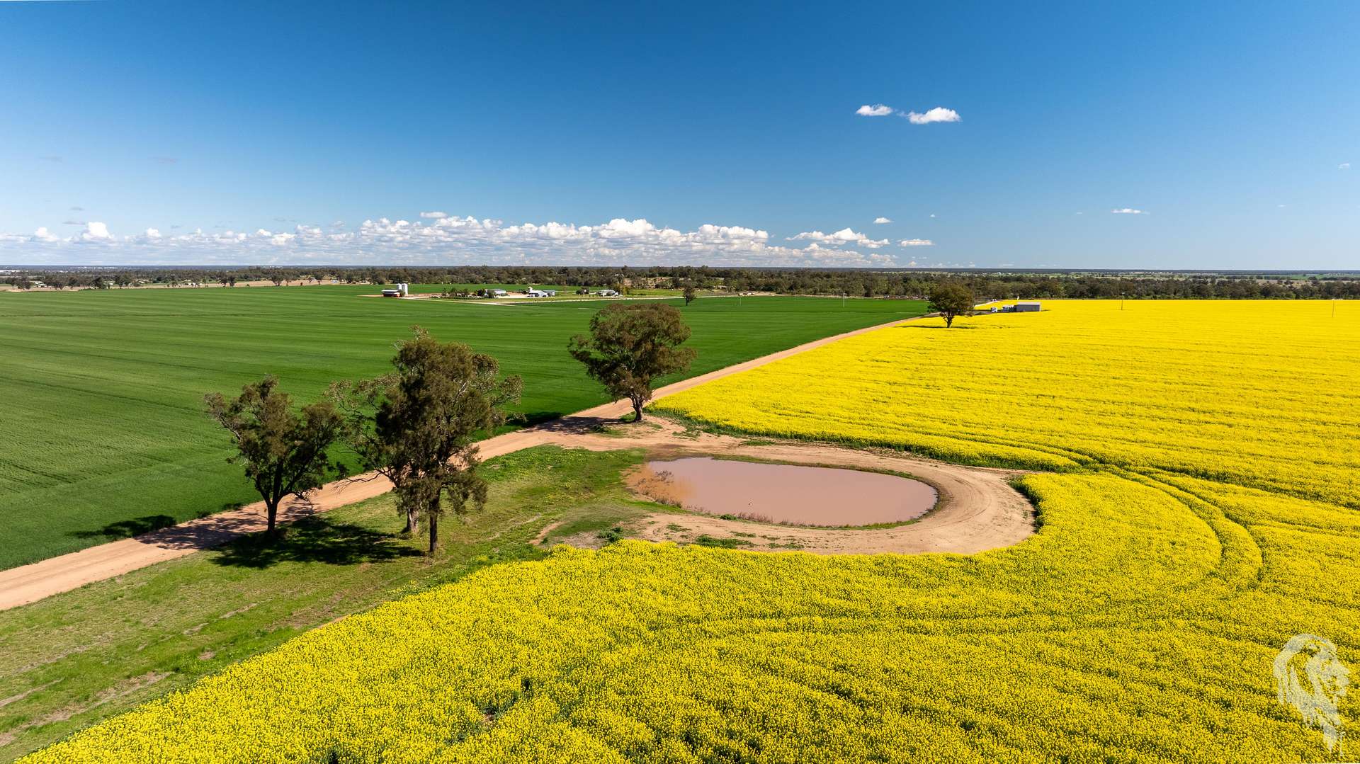 13012 Newell Highway, Narrabri For Sale by Farmbuy.com - image 11