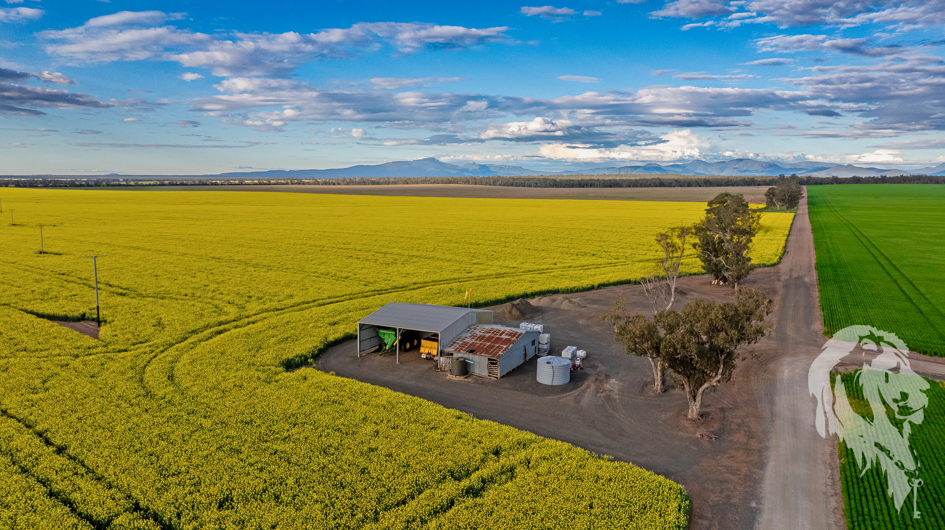 13012 Newell Highway, Narrabri For Sale by Farmbuy.com - image 11