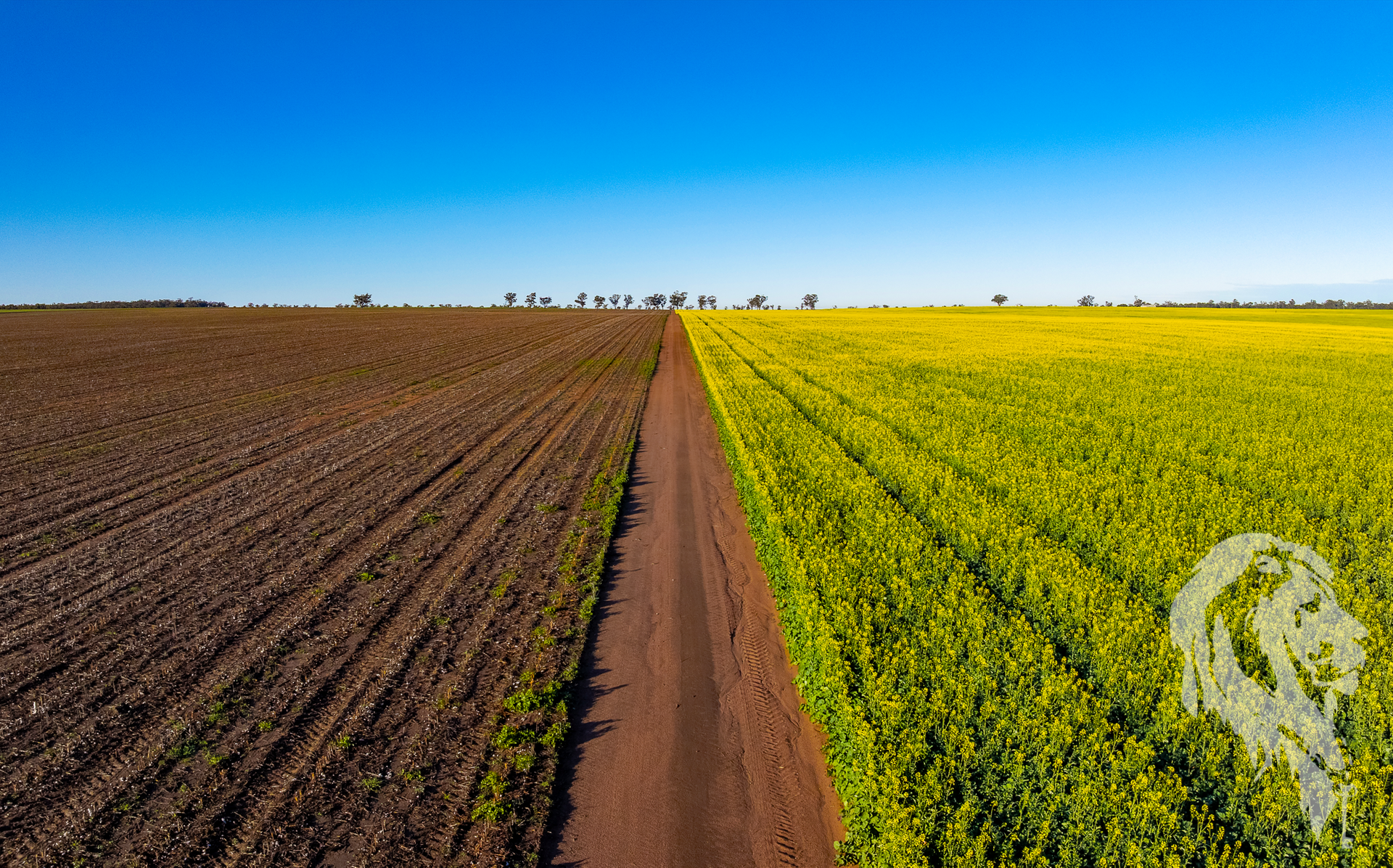 13012 Newell Highway, Narrabri For Sale by Farmbuy.com - image 7