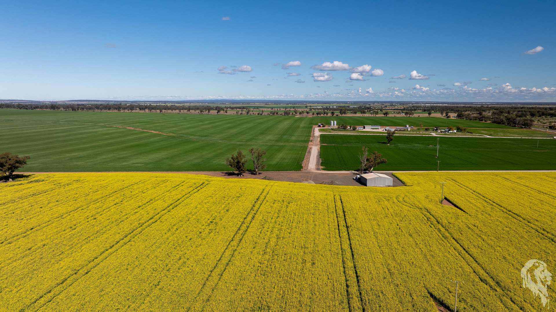 13012 Newell Highway, Narrabri For Sale by Farmbuy.com - image 6