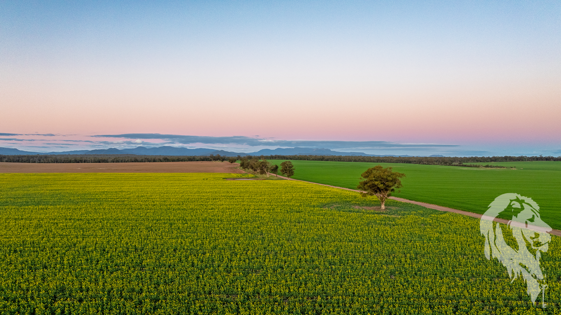 13012 Newell Highway, Narrabri For Sale by Farmbuy.com - image 12