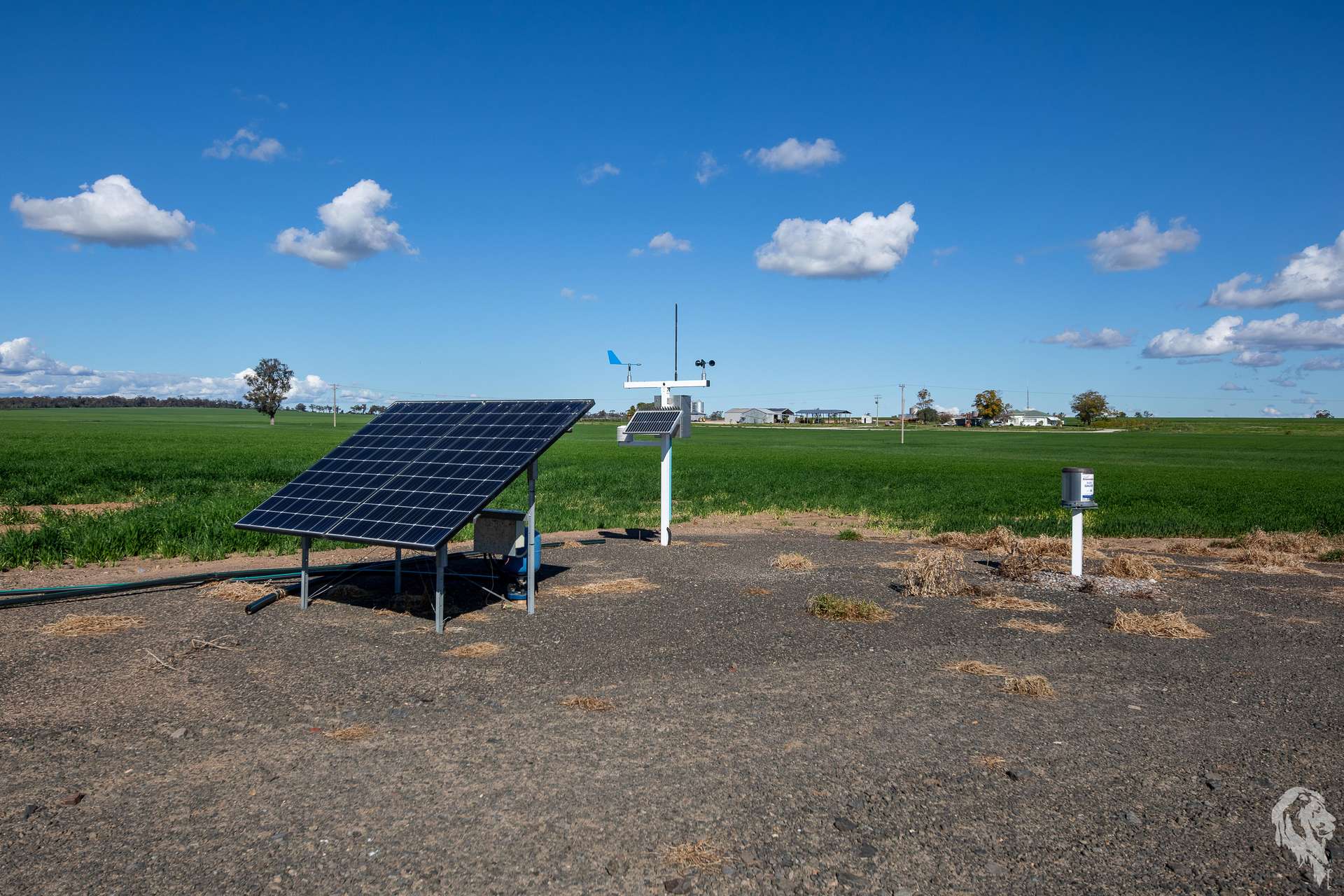 13012 Newell Highway, Narrabri For Sale by Farmbuy.com - image 18
