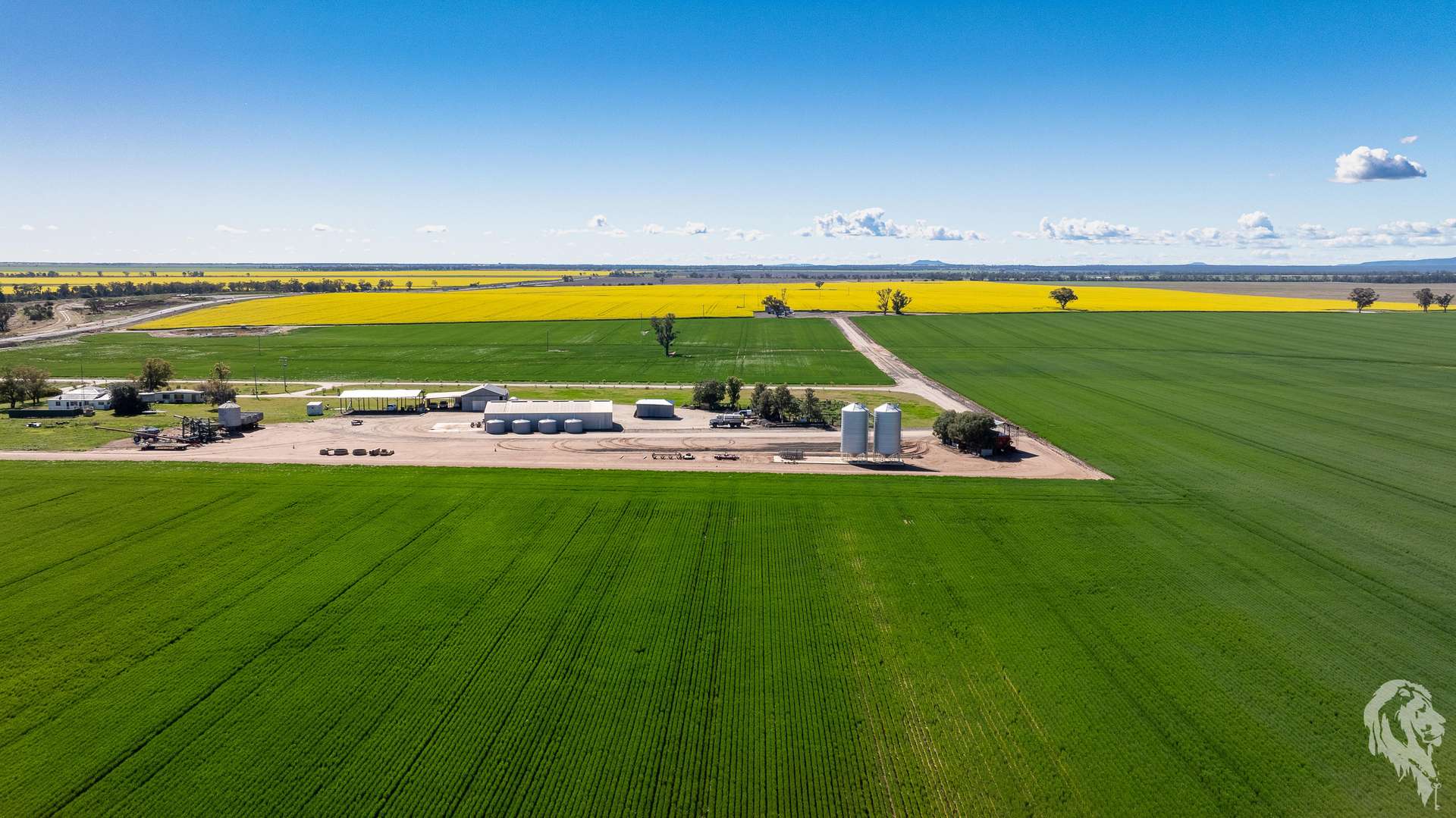 13012 Newell Highway, Narrabri For Sale by Farmbuy.com - image 3