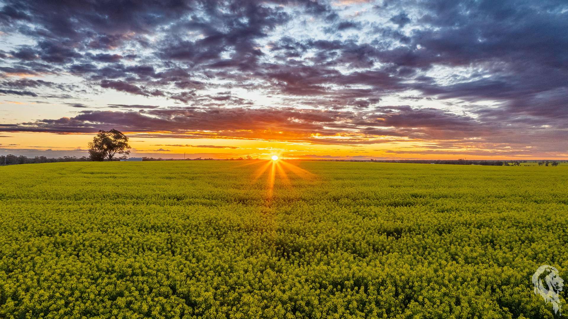 13012 Newell Highway, Narrabri For Sale by Farmbuy.com - image 10