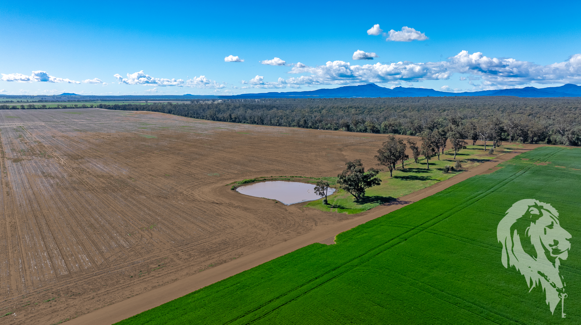 13012 Newell Highway, Narrabri For Sale by Farmbuy.com - image 13