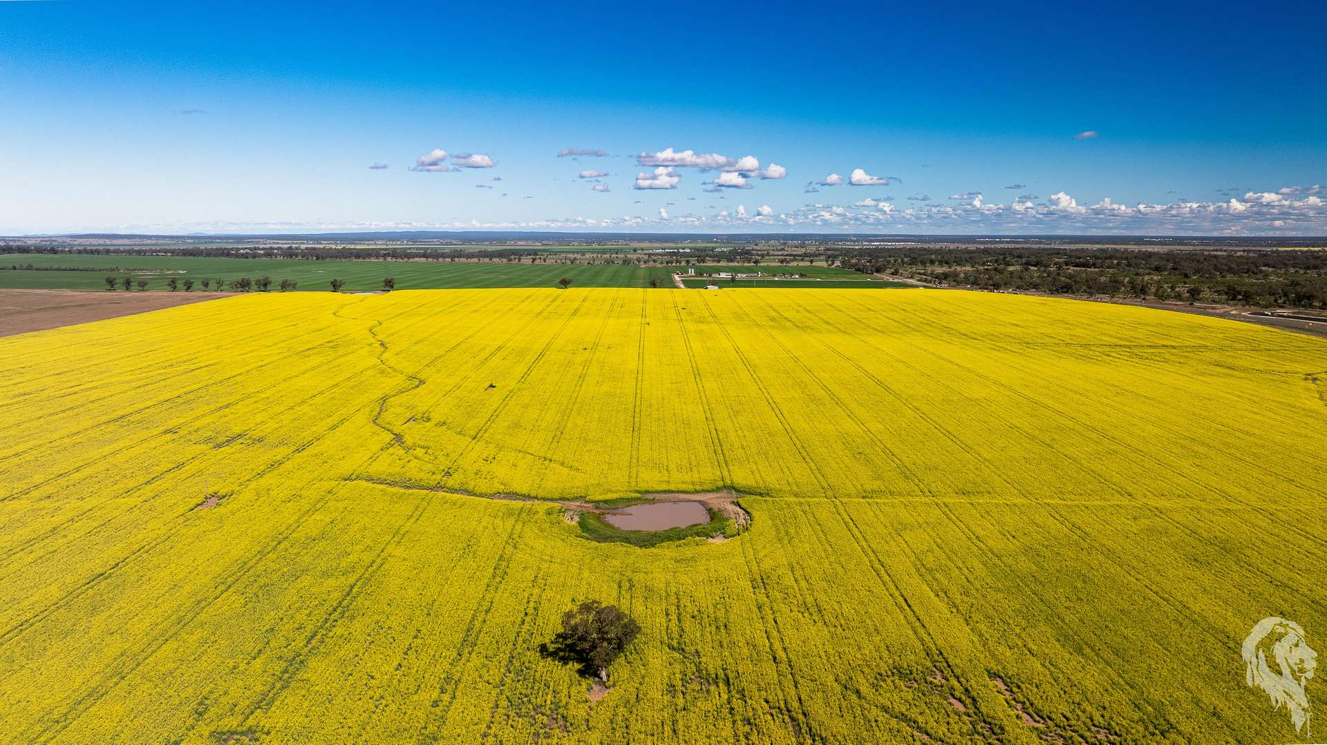 13012 Newell Highway, Narrabri For Sale by Farmbuy.com - image 9