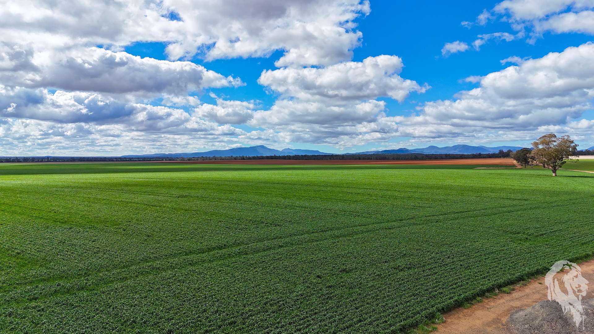 13012 Newell Highway, Narrabri For Sale by Farmbuy.com - image 35