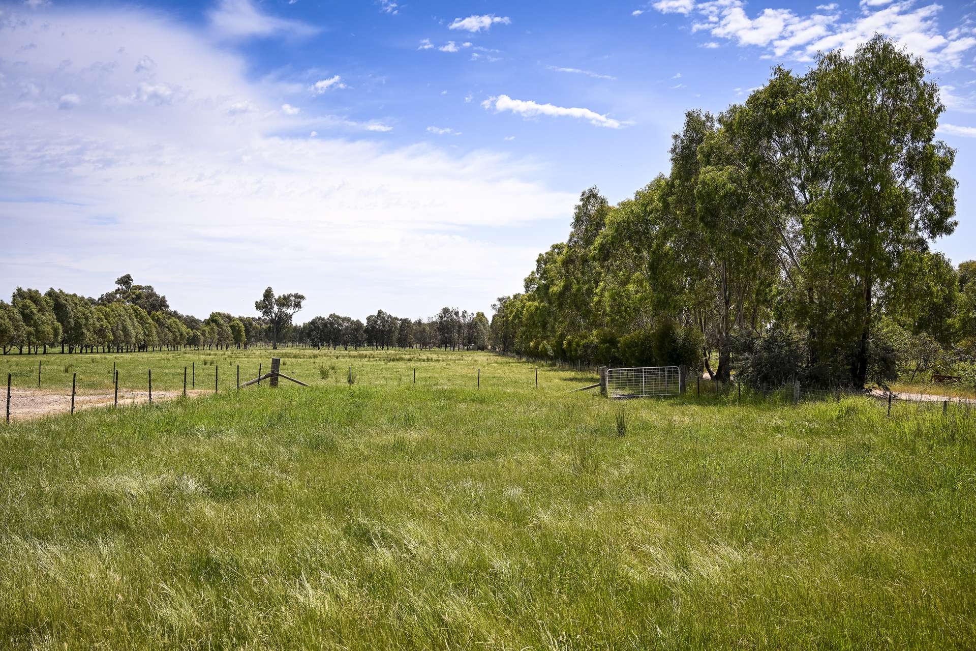 353 Coach Rd, Benalla Sold by Farmbuy.com - image 19