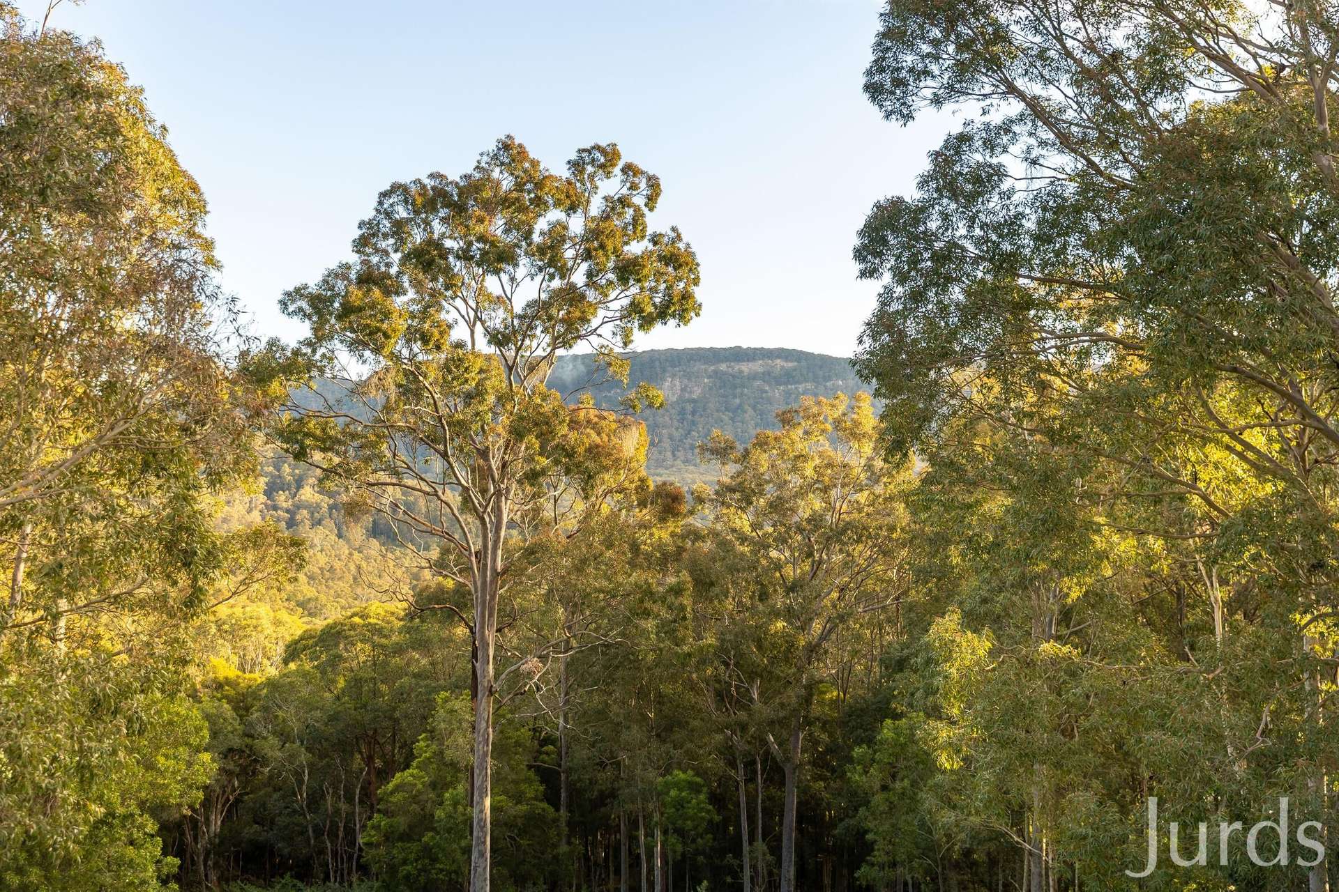 131 Rodney Road, Mount Vincent Sold by Farmbuy.com - image 10