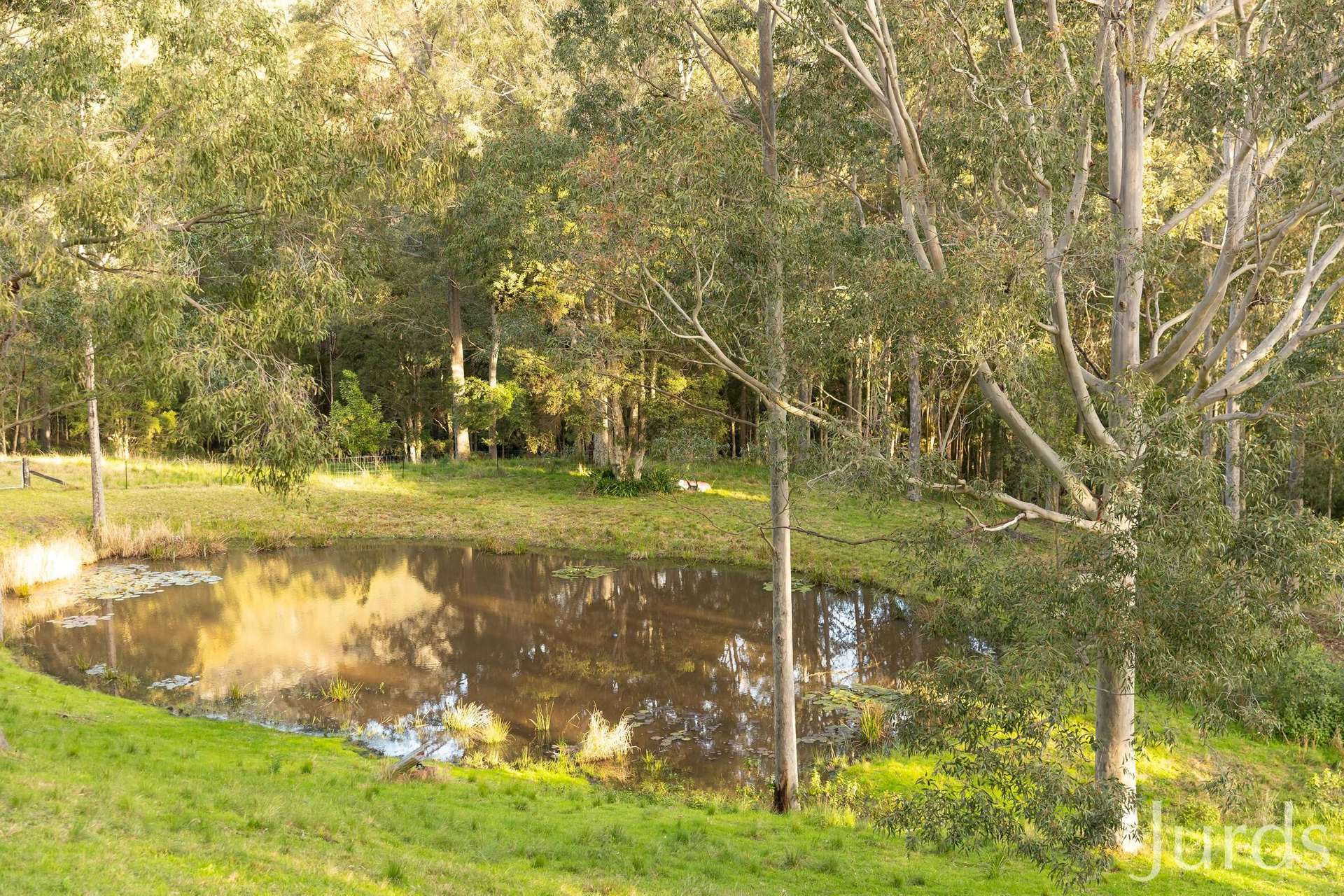 131 Rodney Road, Mount Vincent Sold by Farmbuy.com - image 34