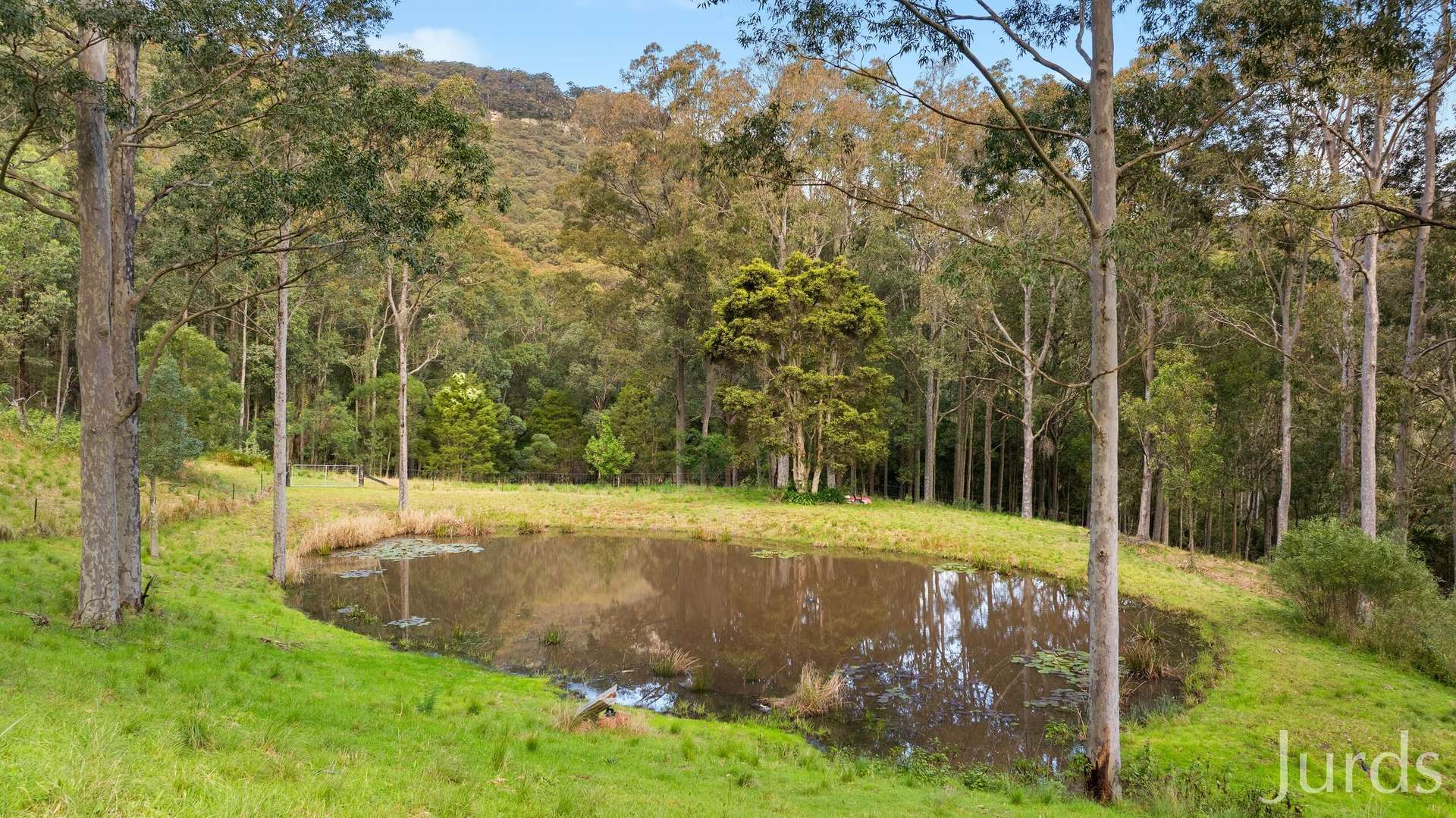 131 Rodney Road, Mount Vincent Sold by Farmbuy.com - image 9