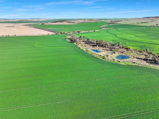 Croppa Creek NSW 2411