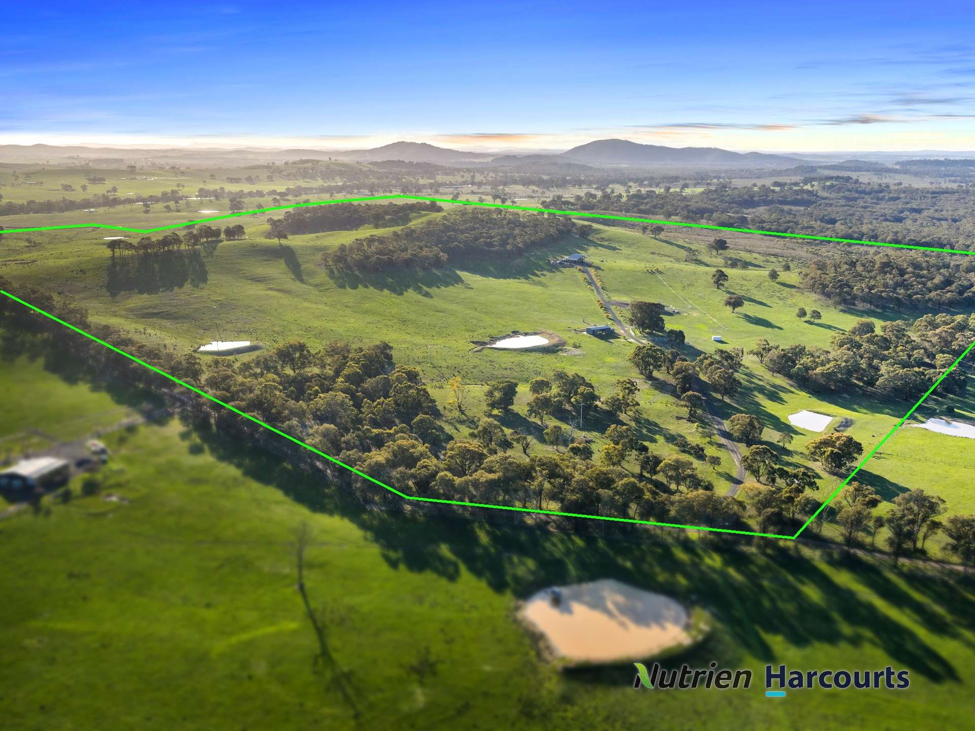 250 Daisyburn Road, Hilldene For Sale by Farmbuy.com - image 16