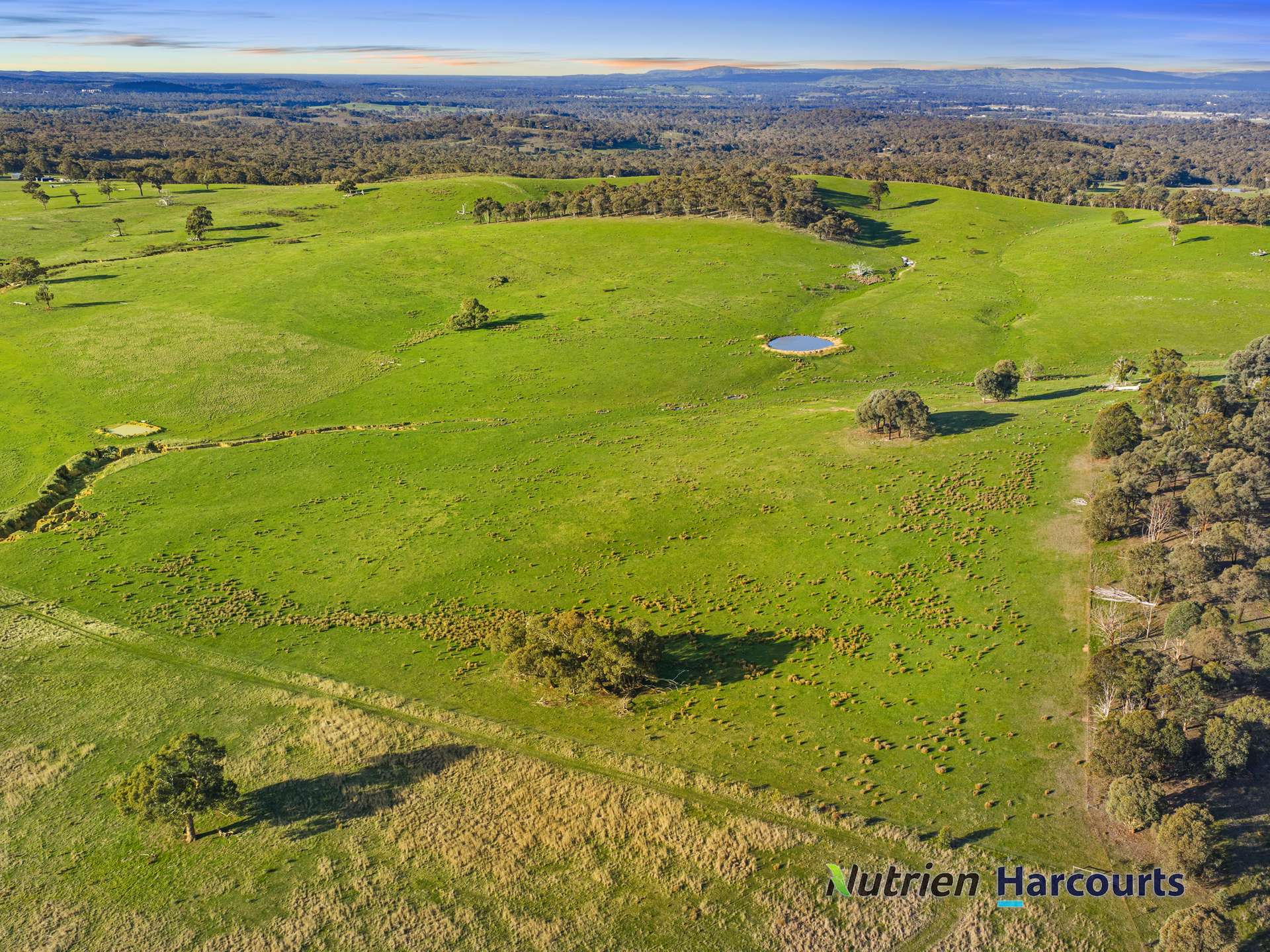 250 Daisyburn Road, Hilldene For Sale by Farmbuy.com - image 19