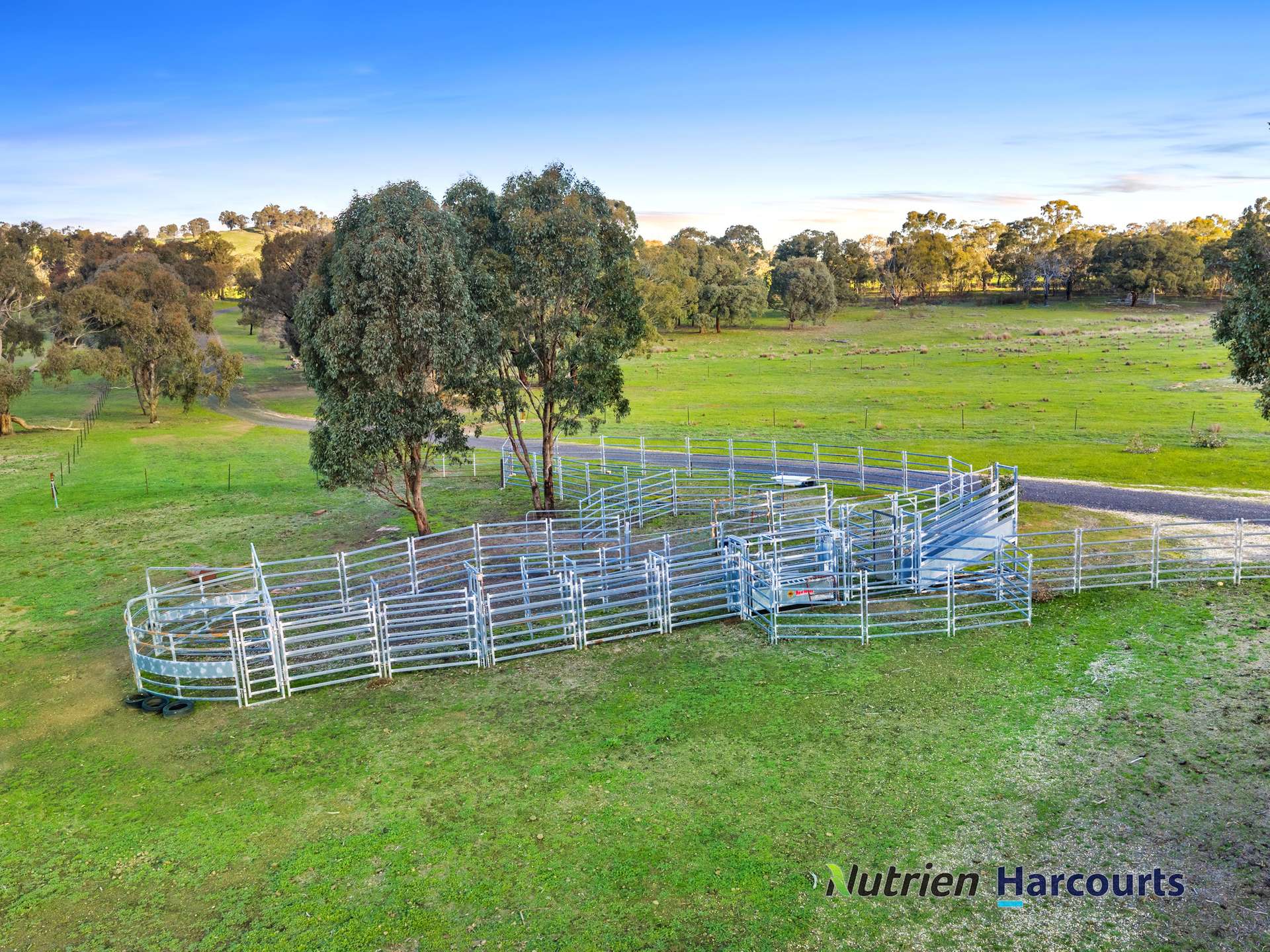 250 Daisyburn Road, Hilldene For Sale by Farmbuy.com - image 31