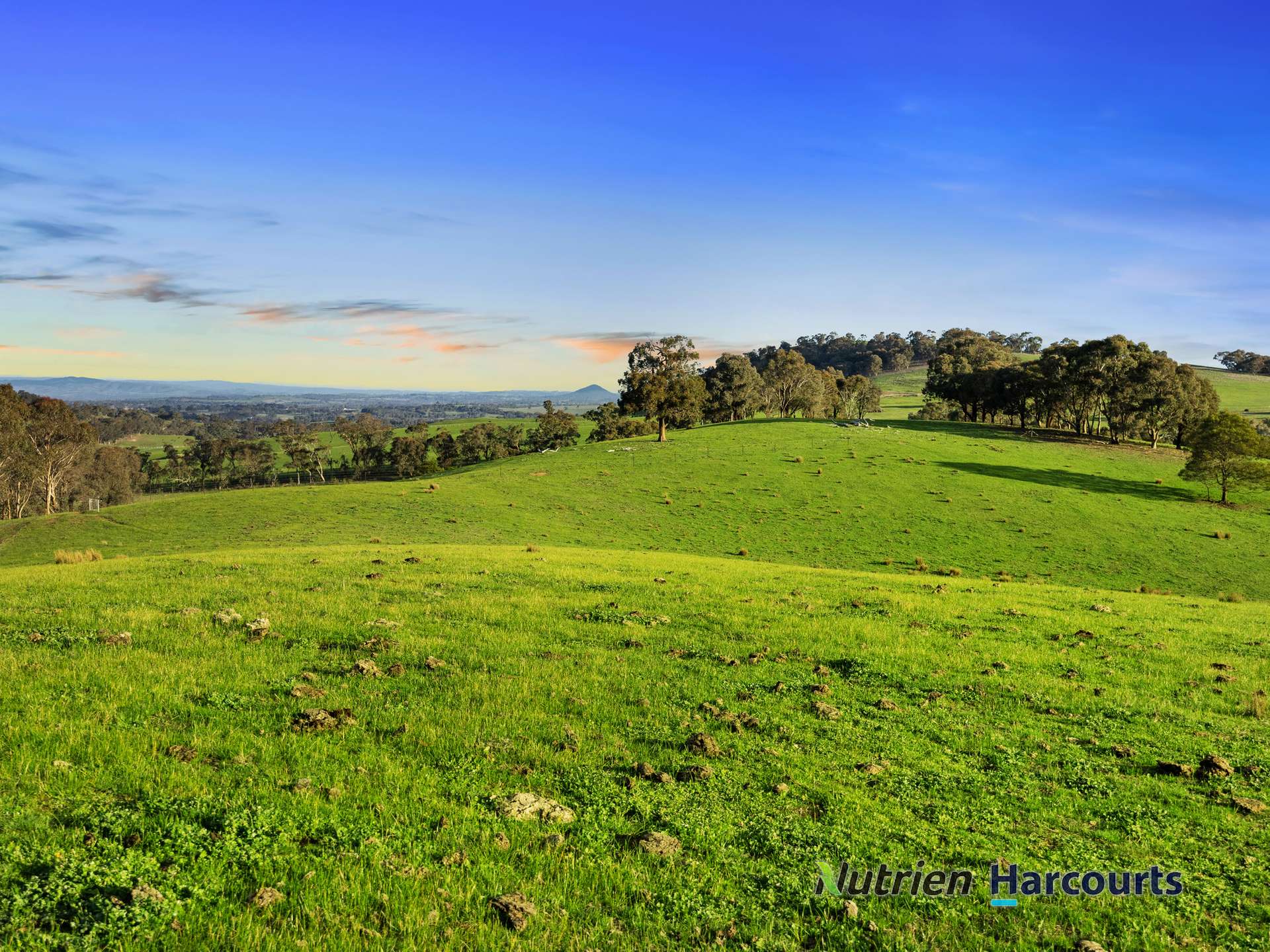 250 Daisyburn Road, Hilldene For Sale by Farmbuy.com - image 21