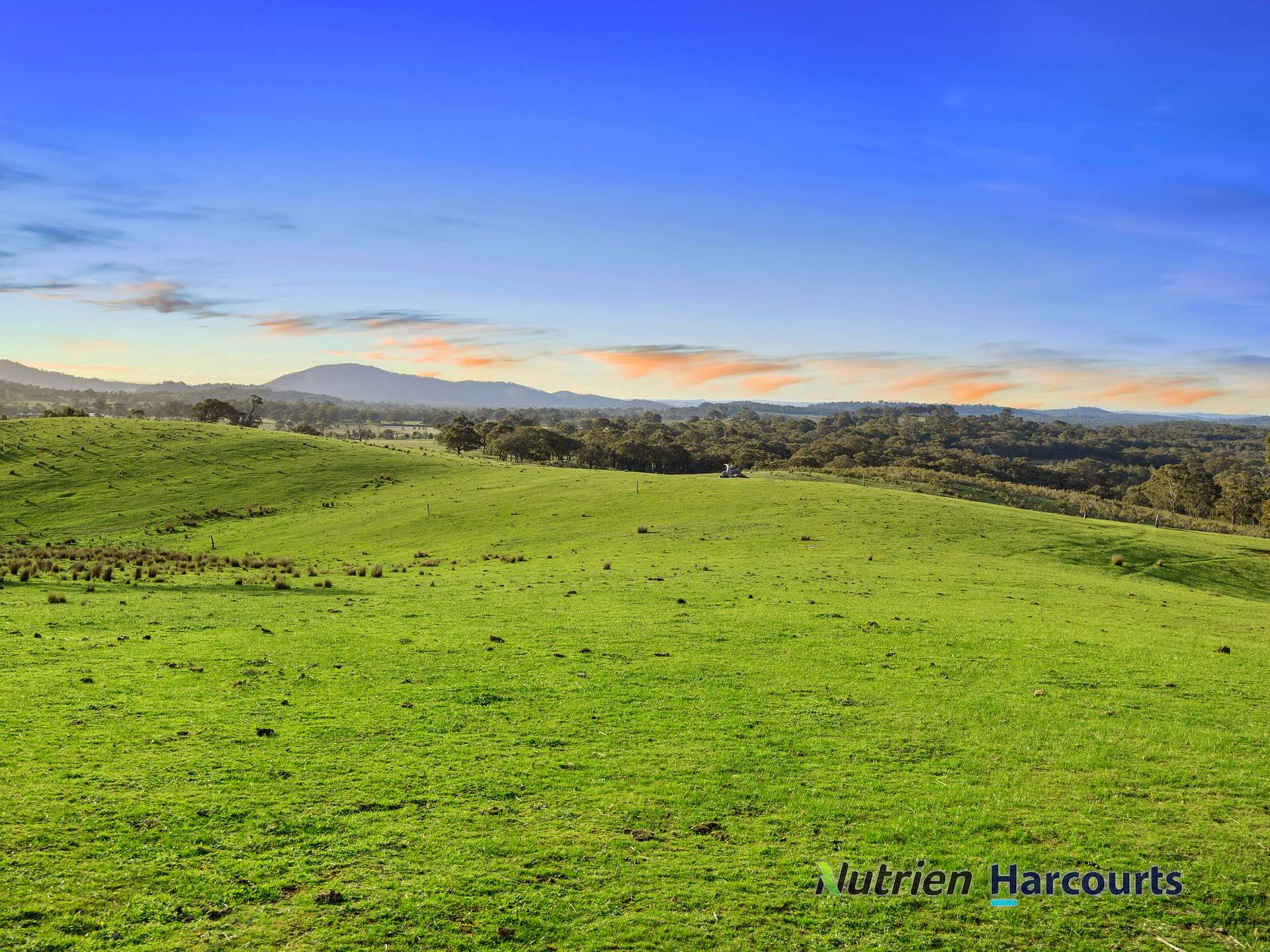 250 Daisyburn Road, Hilldene For Sale by Farmbuy.com - image 22