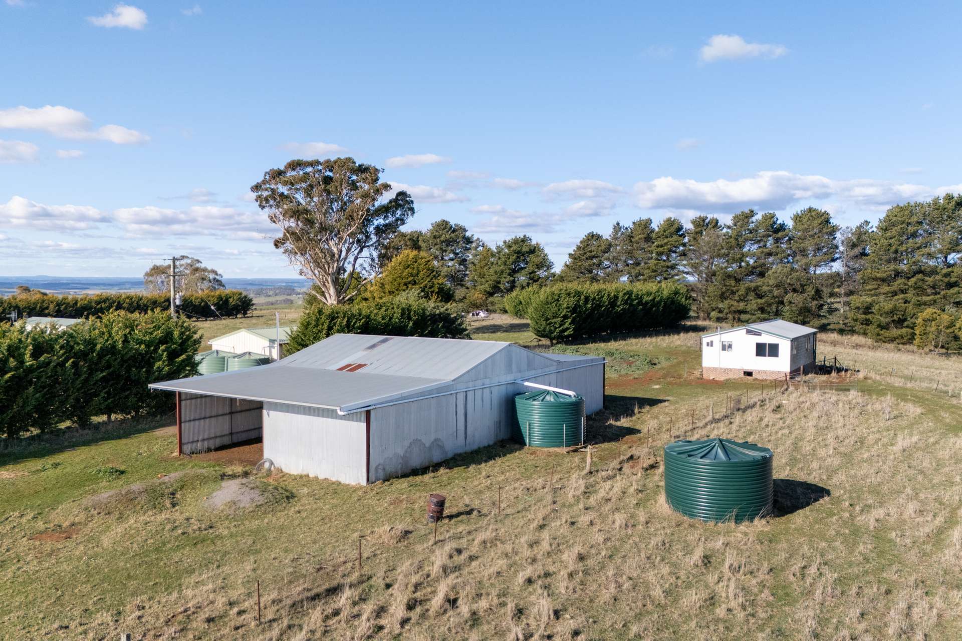 225 McAlister Road, Laggan For Sale by Farmbuy.com - image 17