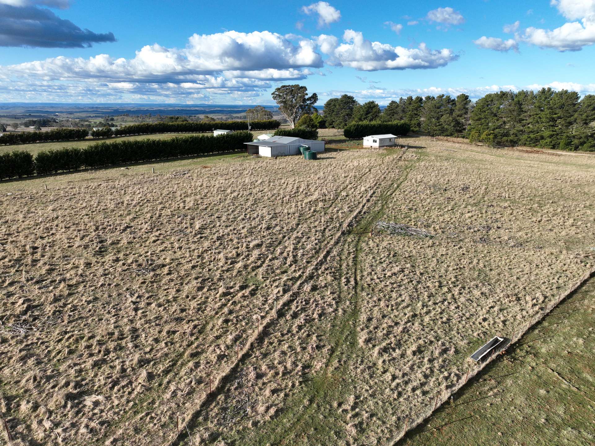 225 McAlister Road, Laggan For Sale by Farmbuy.com - image 24