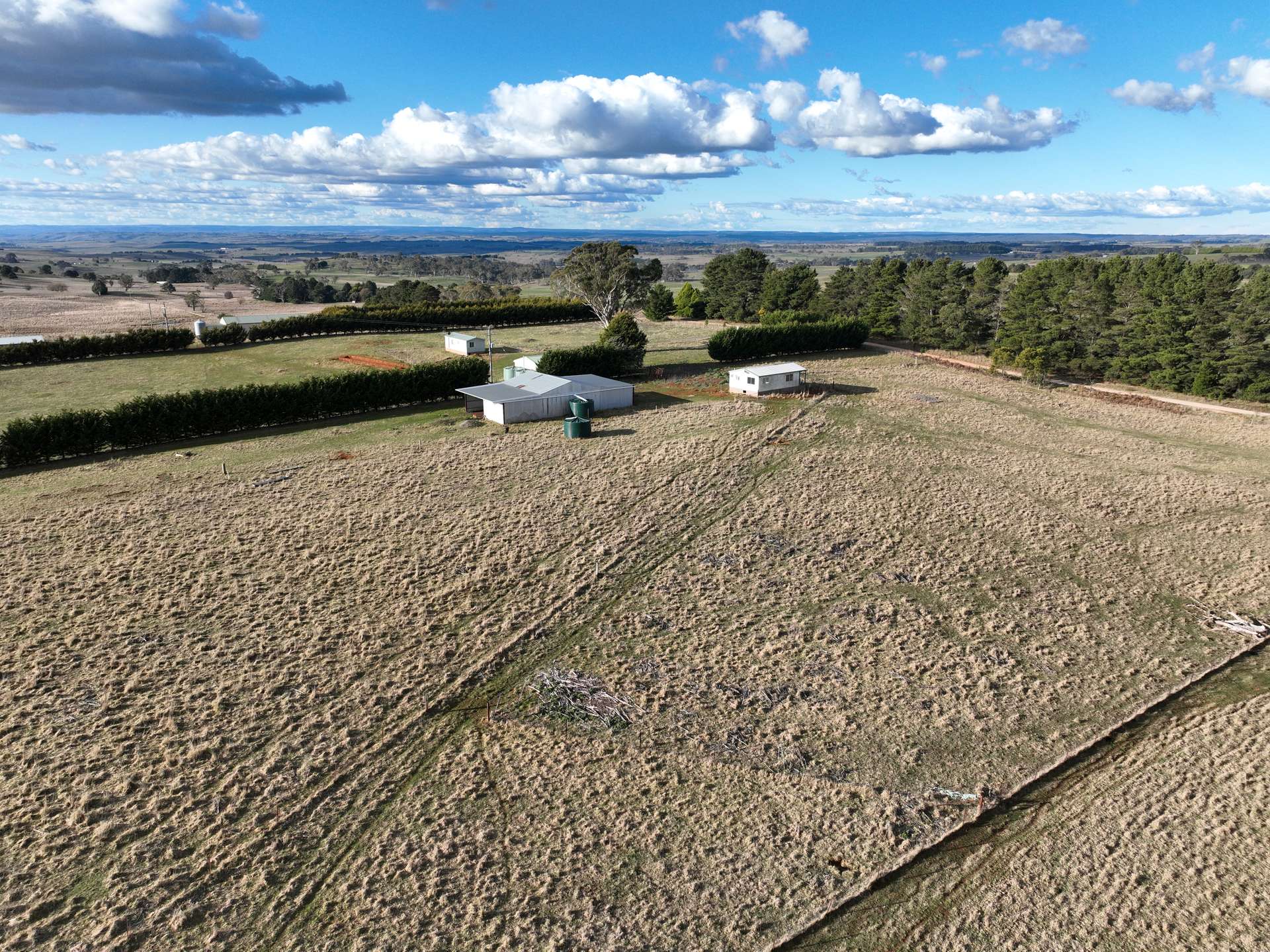 225 McAlister Road, Laggan For Sale by Farmbuy.com - image 22