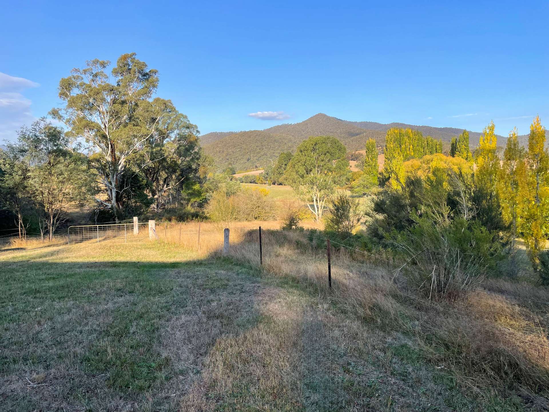 139 The Sideling, Jamieson Sold by Farmbuy.com - image 4